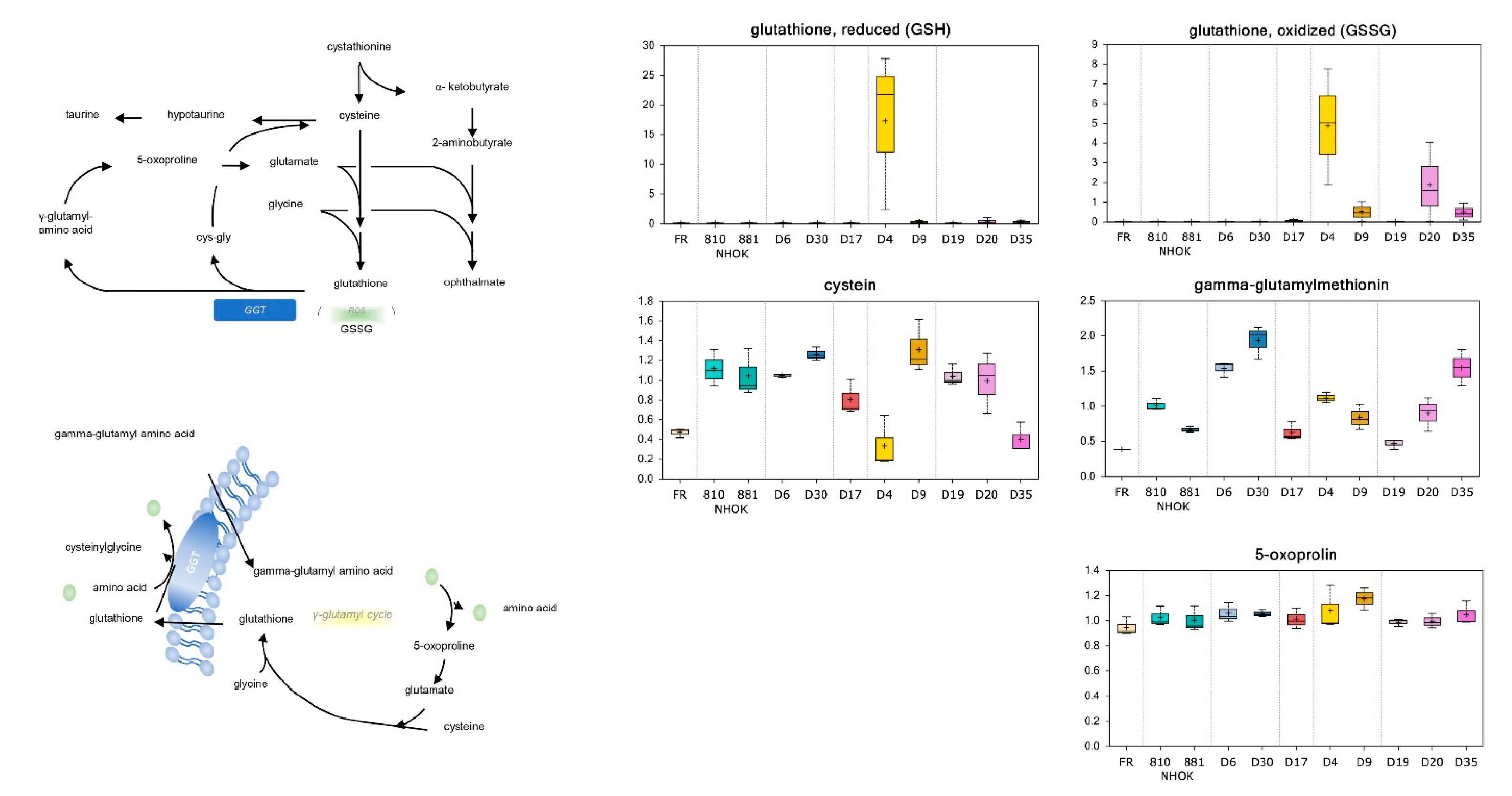 Cancers 13 04212 g006