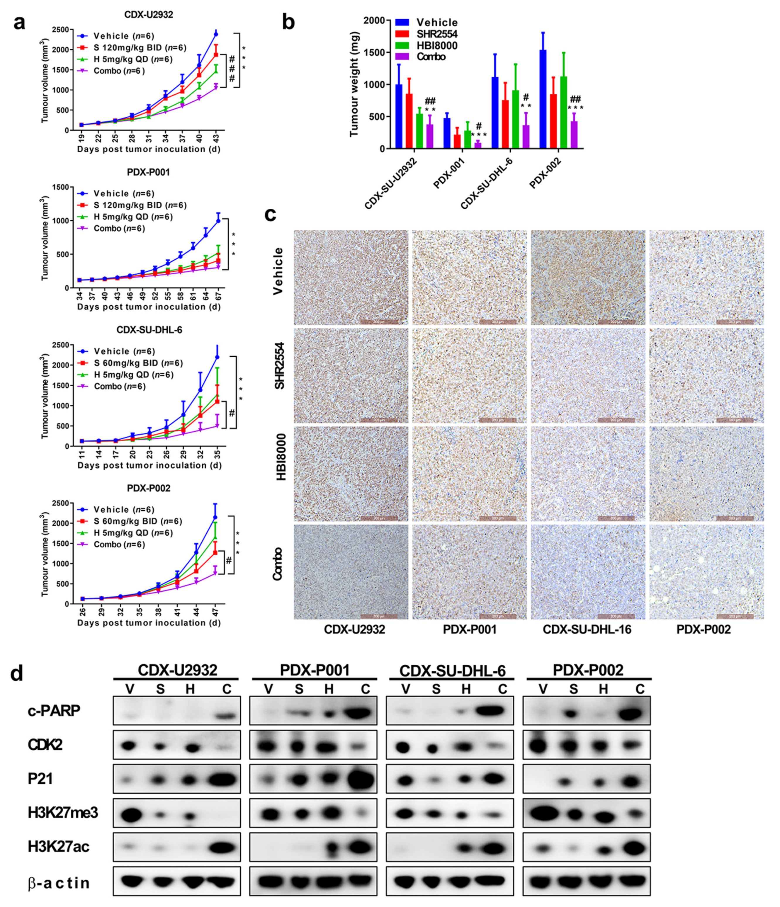 Cancers 13 04249 g005