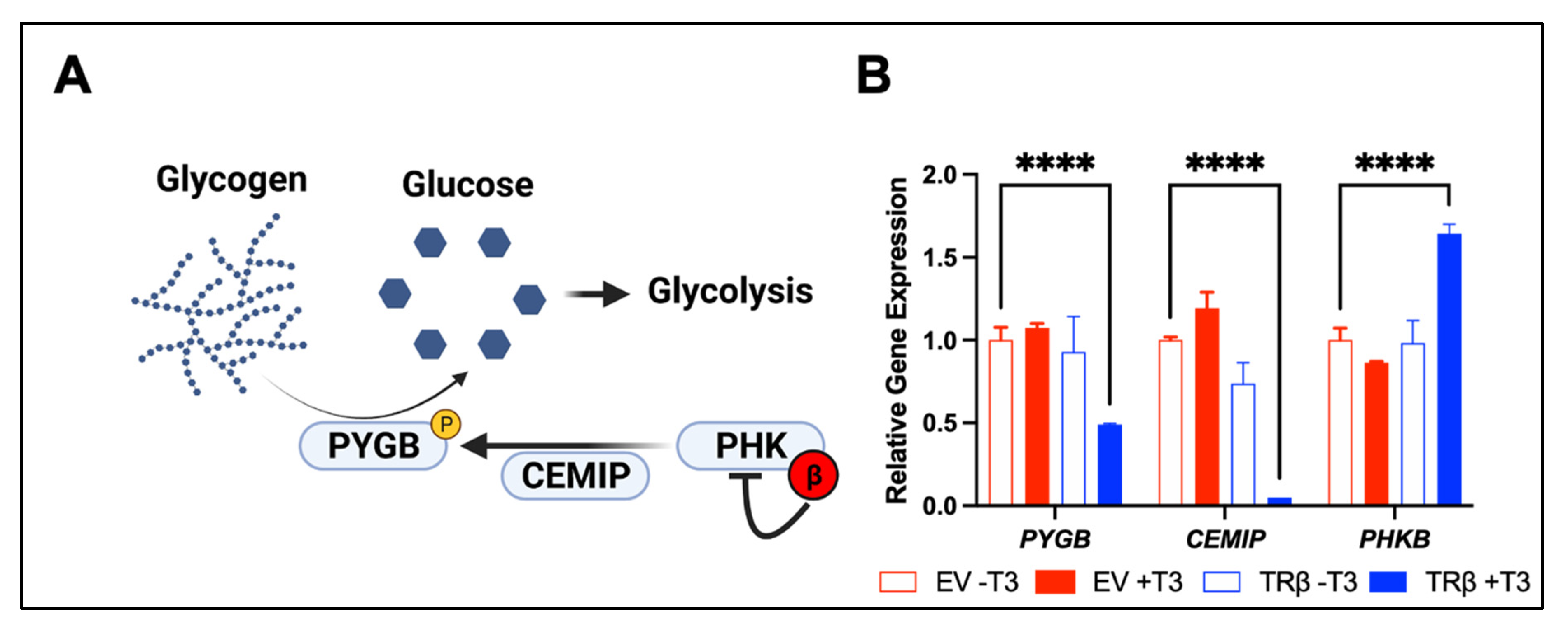 Cancers 13 04254 g003 Cancers 13 04254 g003