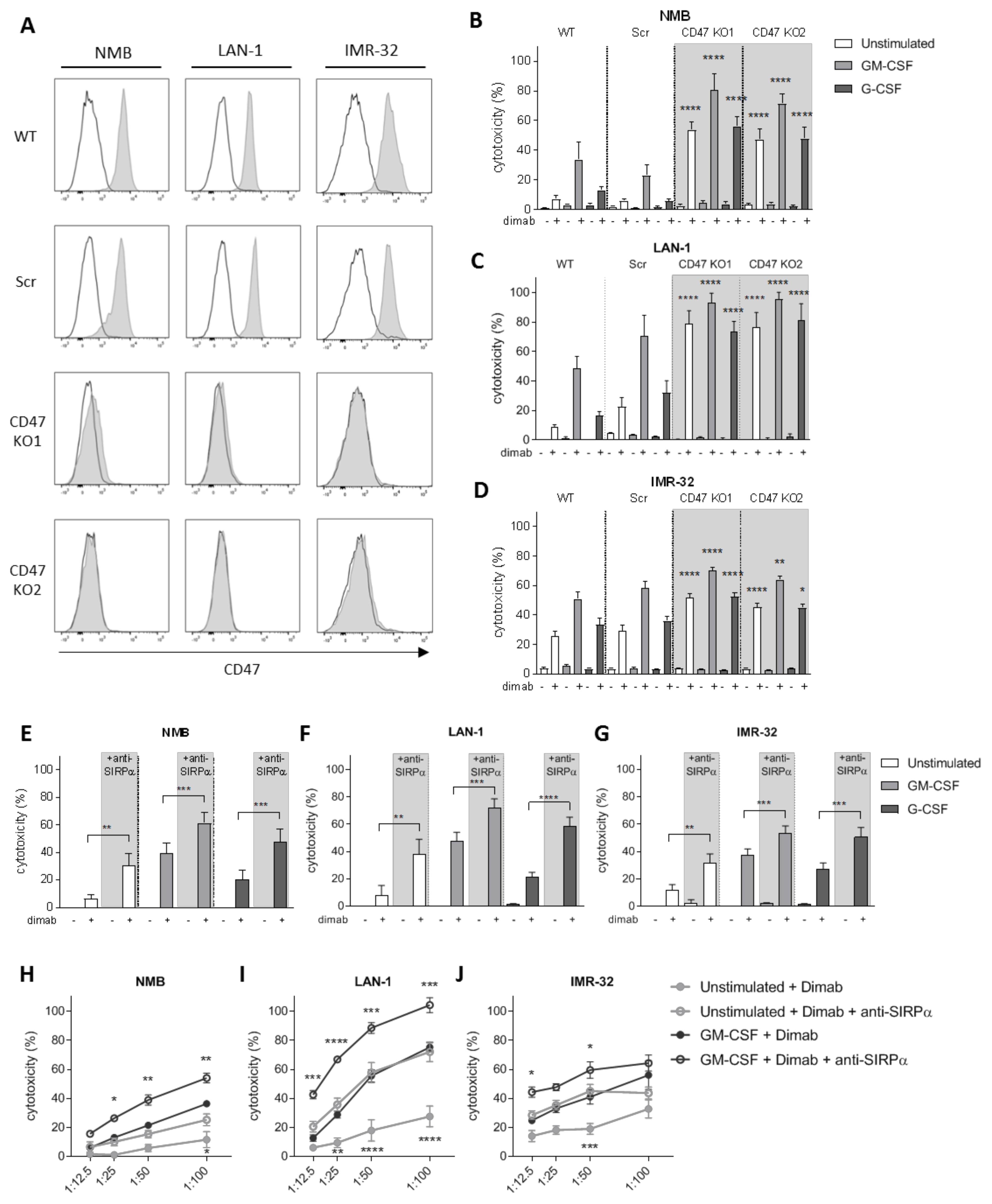 Cancers 13 04261 g002 Cancers 13 04261 g002