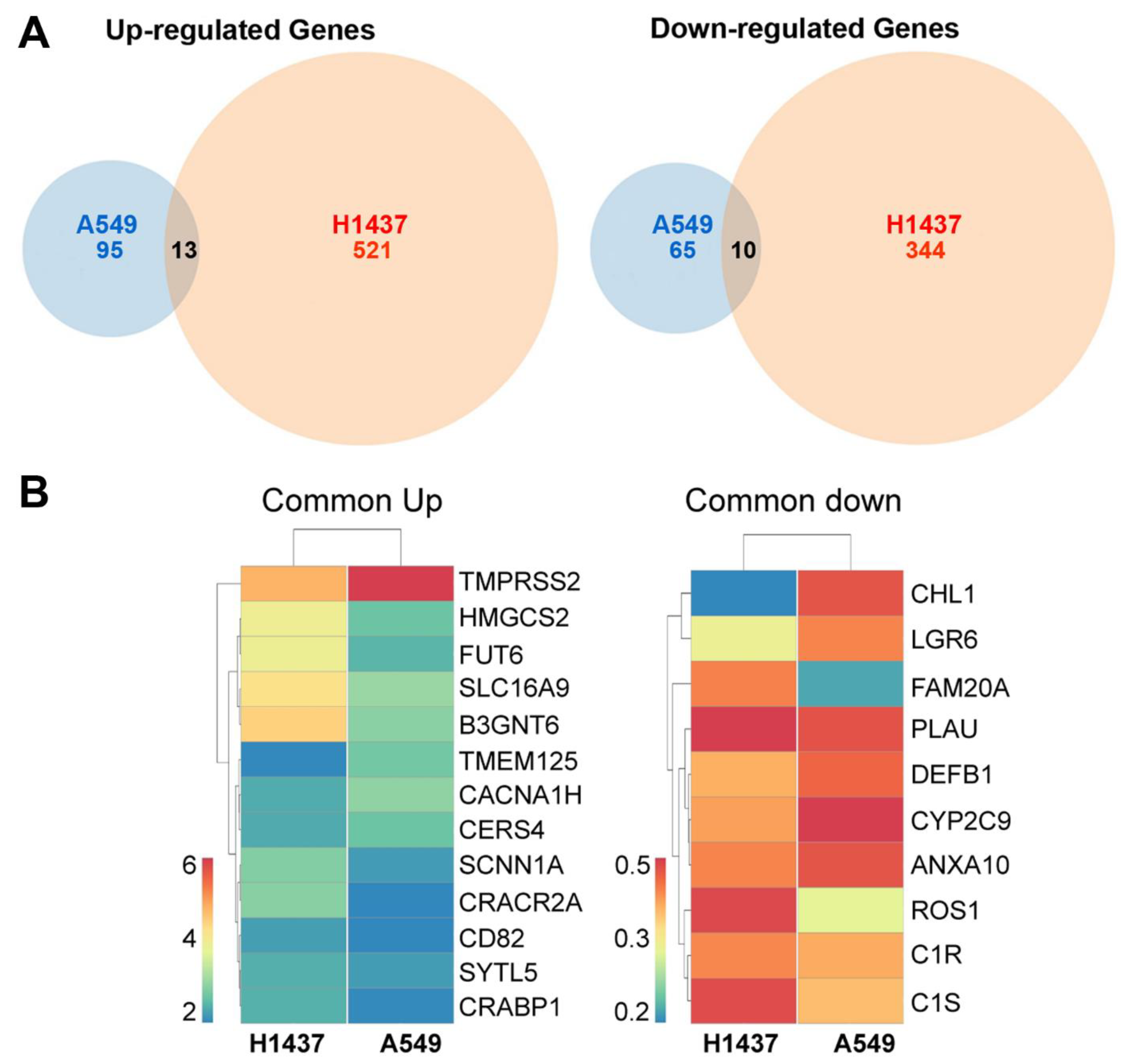 Cancers 13 04302 g002