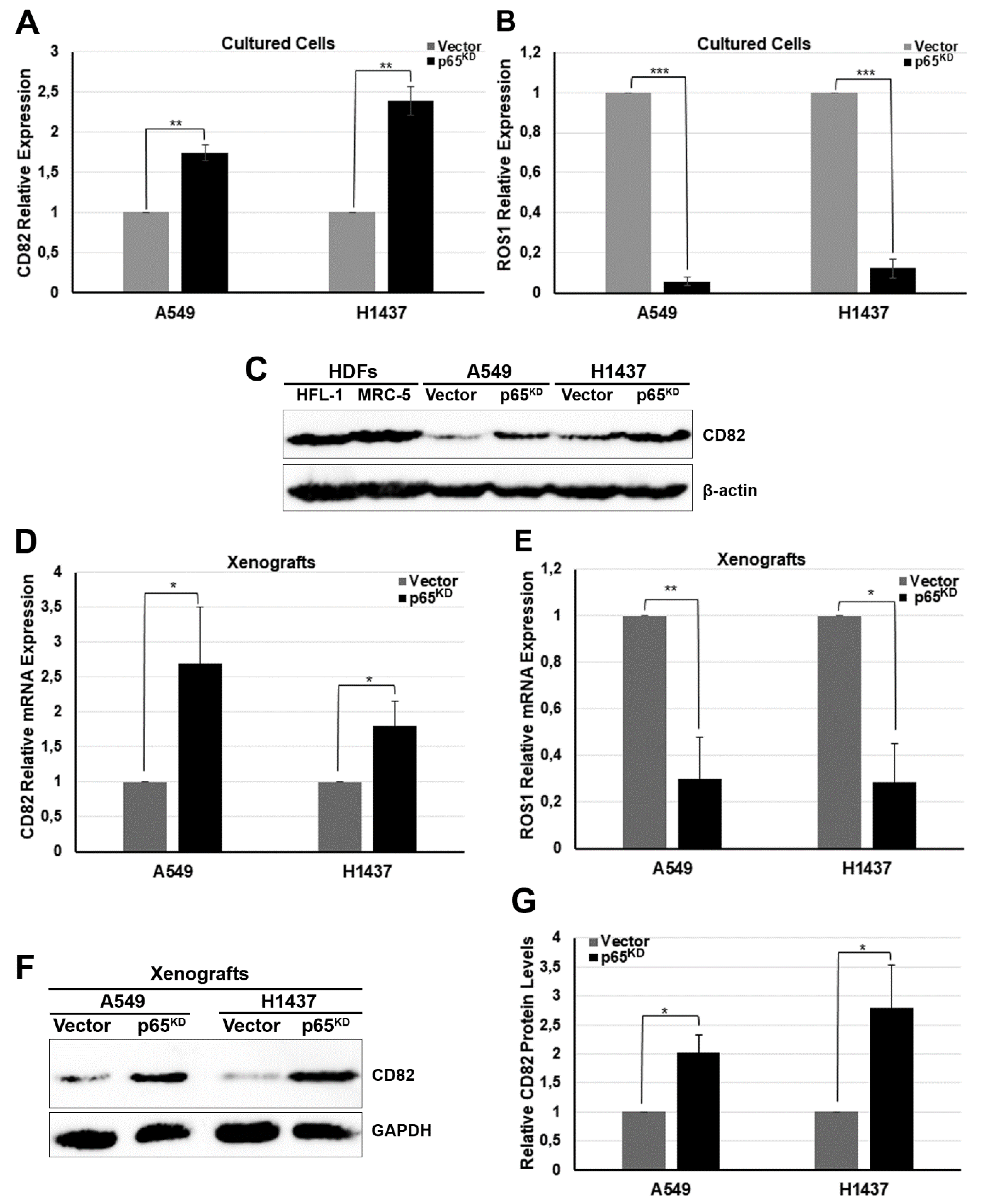 Cancers 13 04302 g003