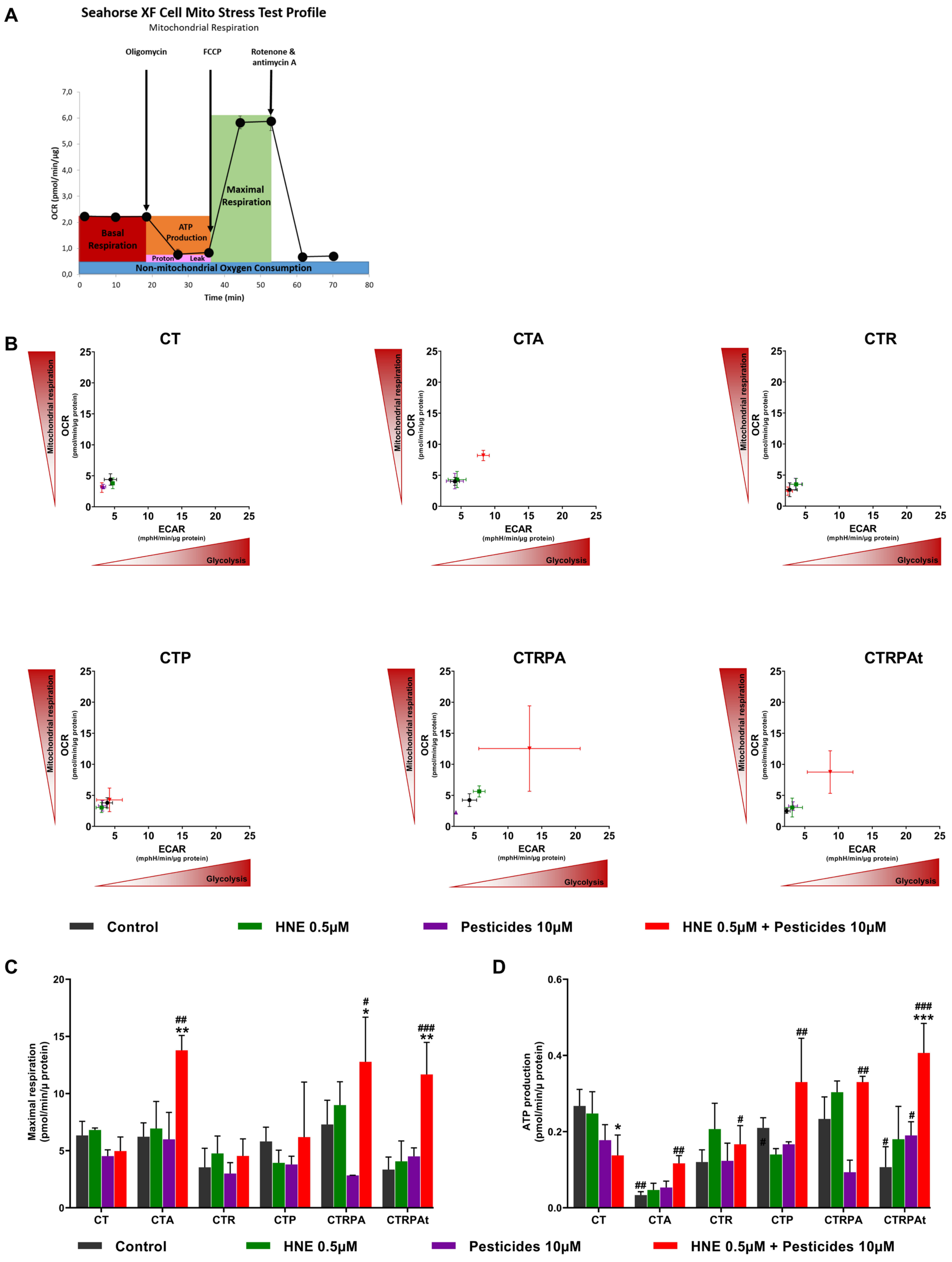 Cancers 13 04337 g004