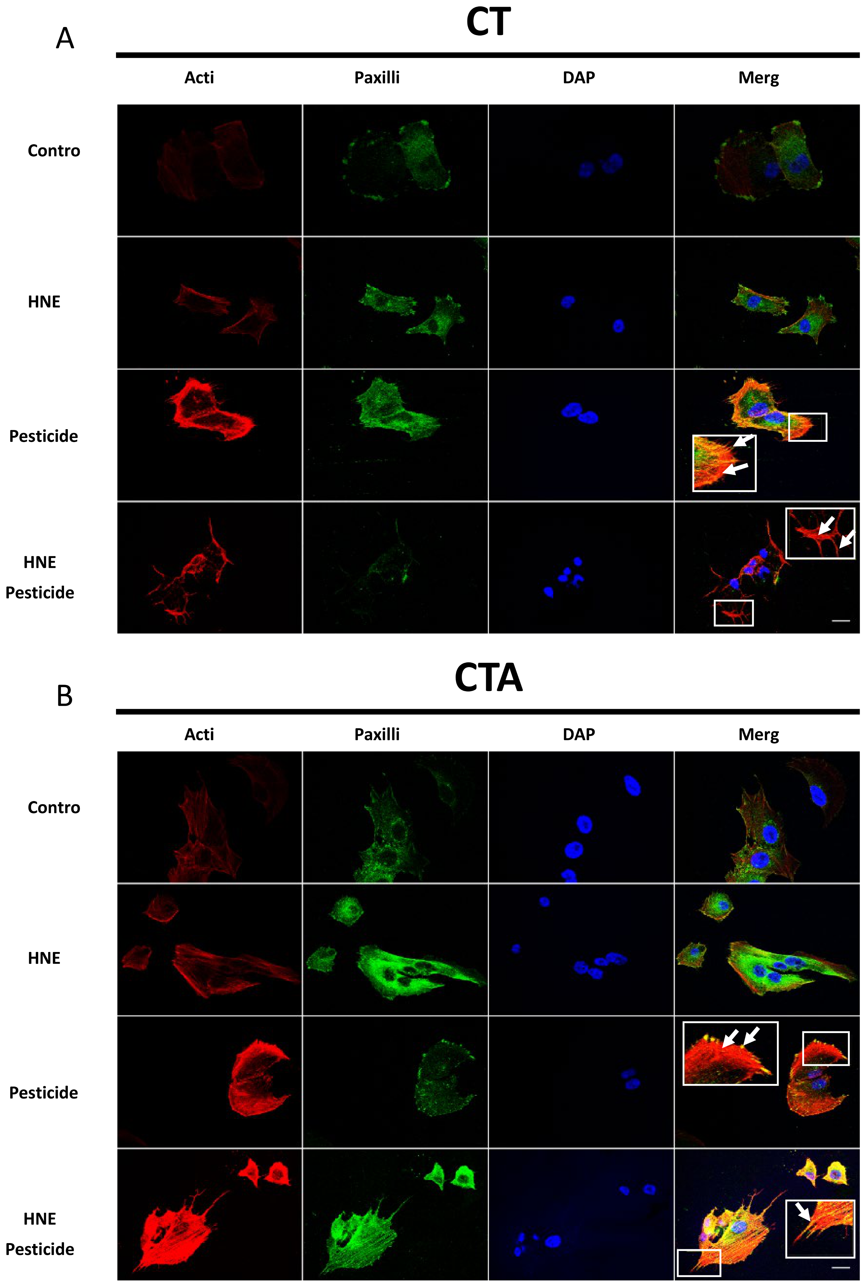 Cancers 13 04337 g005a