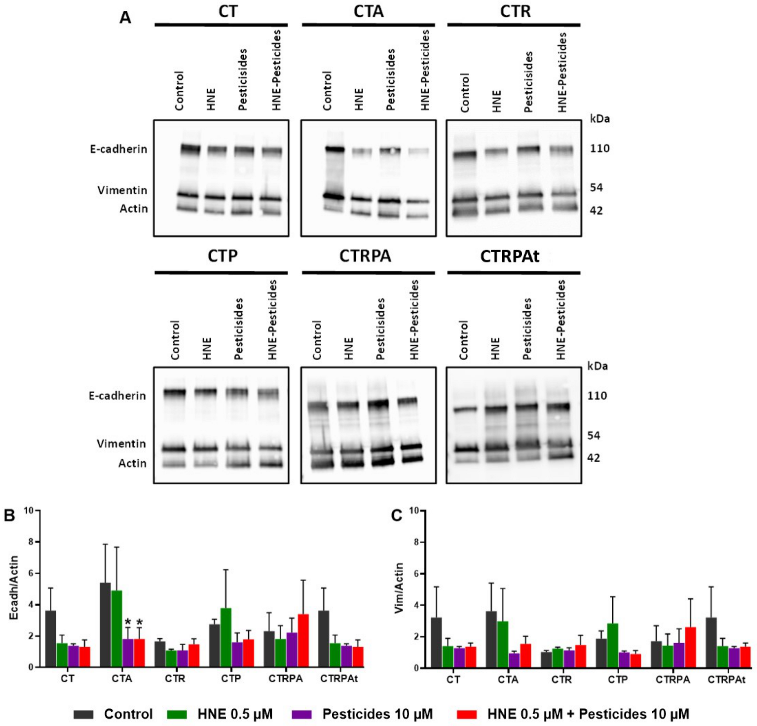 Cancers 13 04337 g006