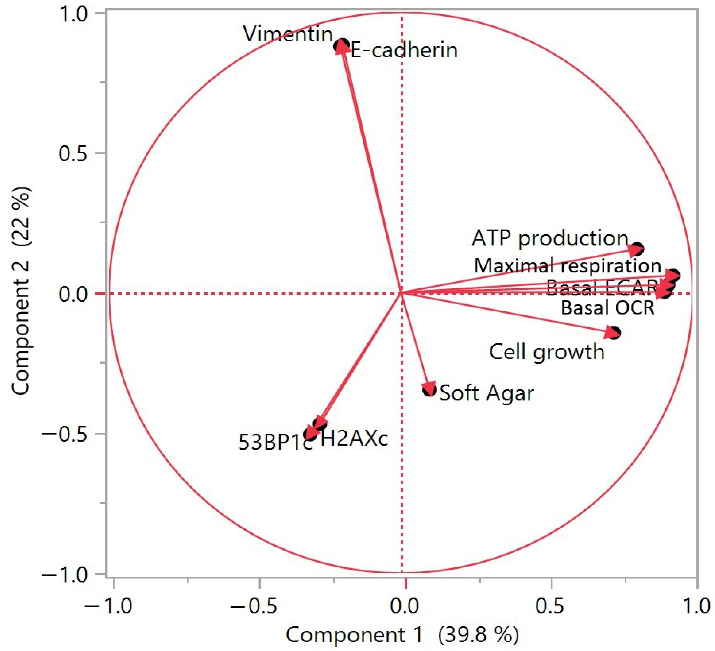 Cancers 13 04337 g007