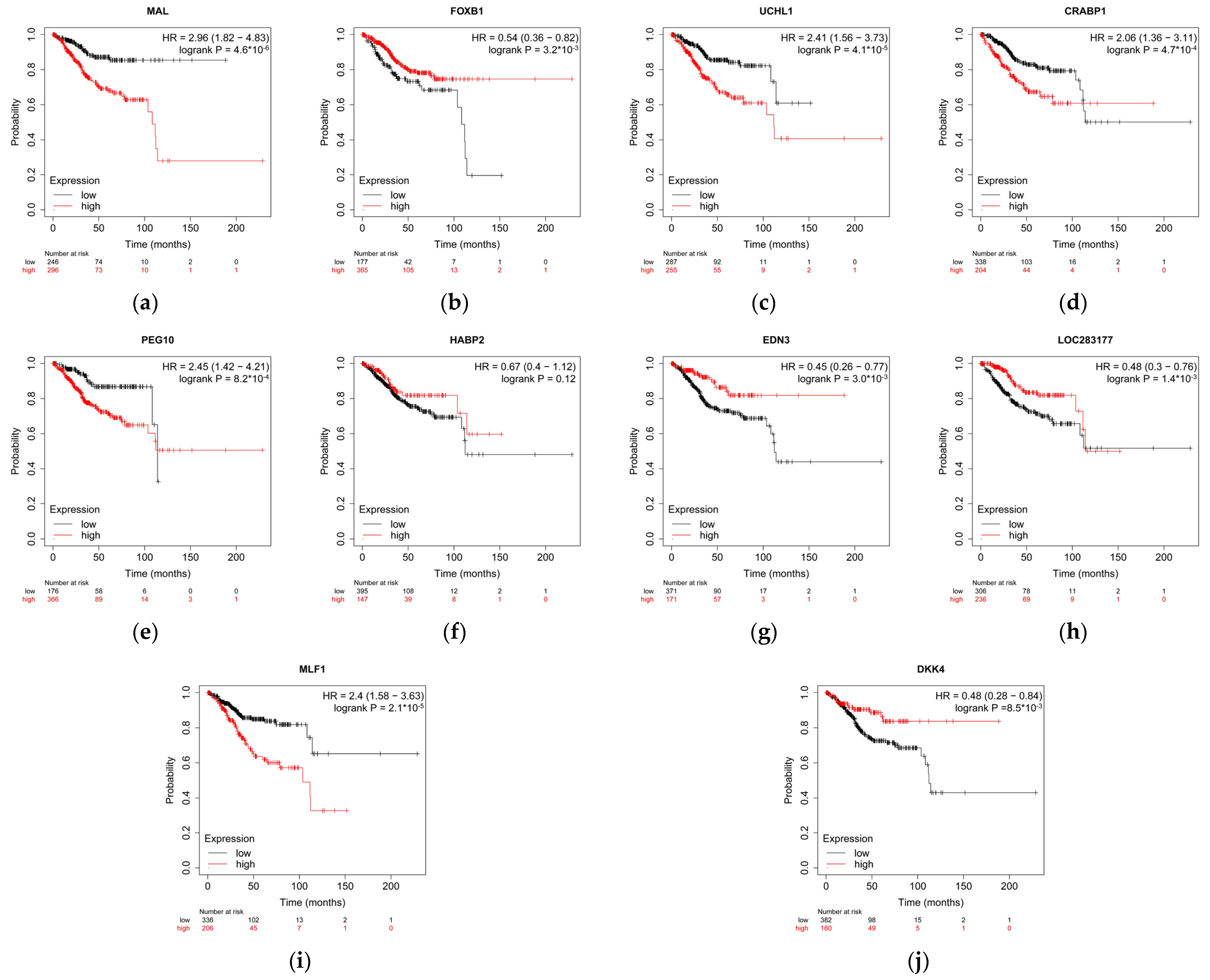 Cancers 13 04348 g007