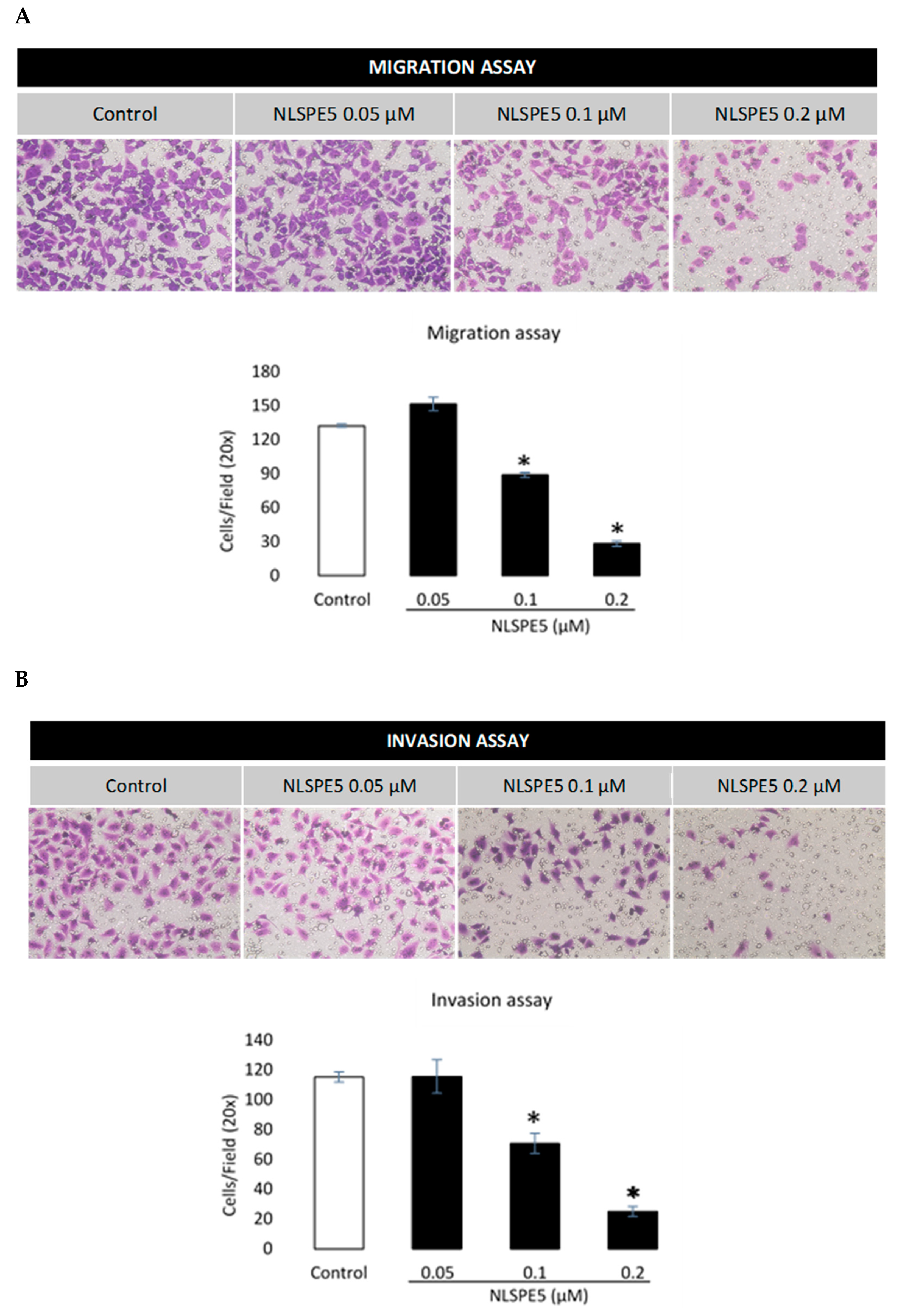 Cancers 13 04350 g007