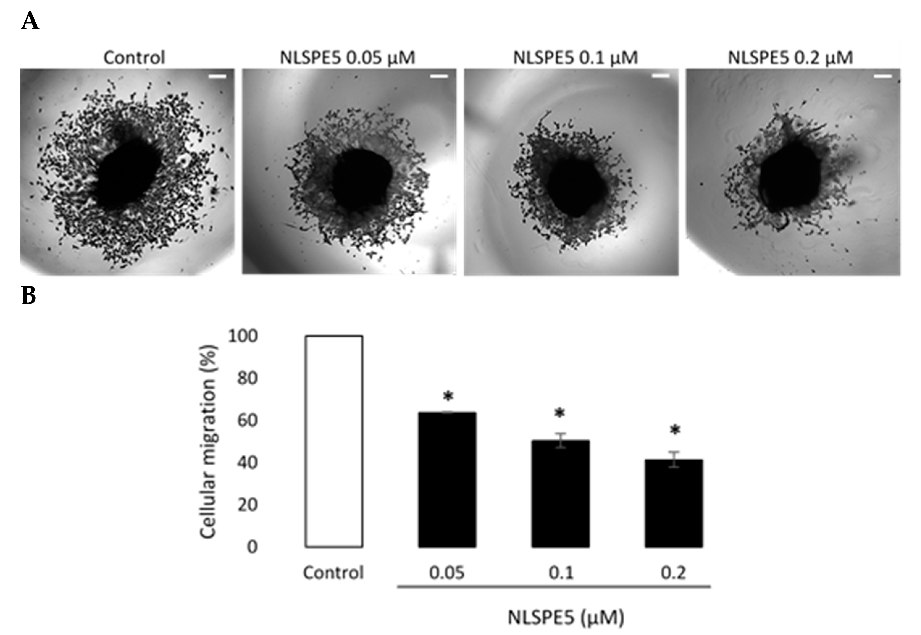 Cancers 13 04350 g008