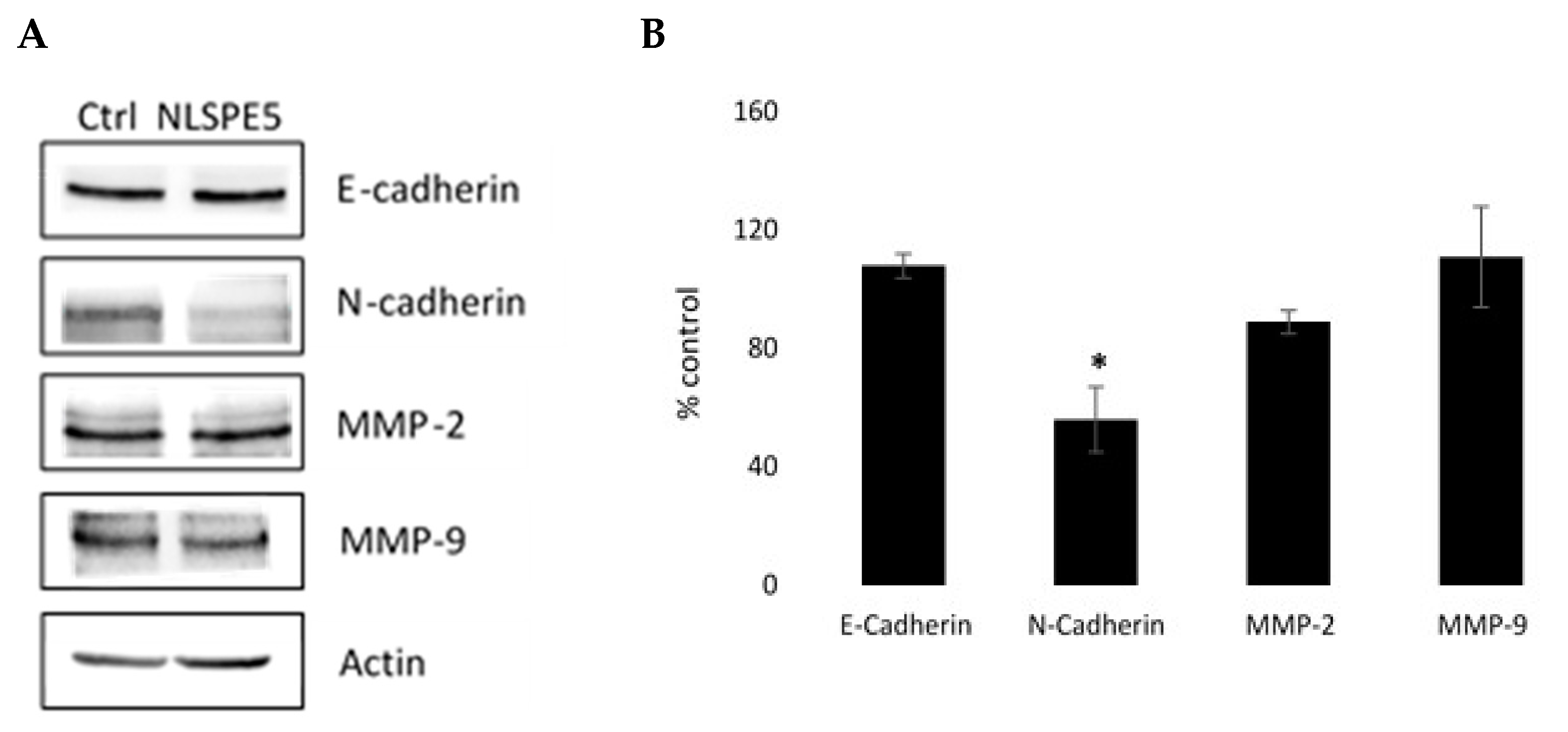Cancers 13 04350 g009
