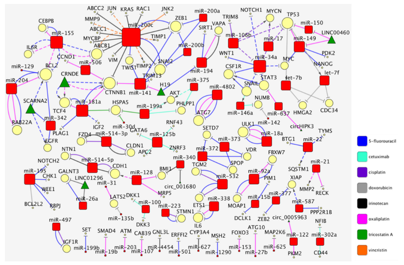 Cancers 13 04355 g001