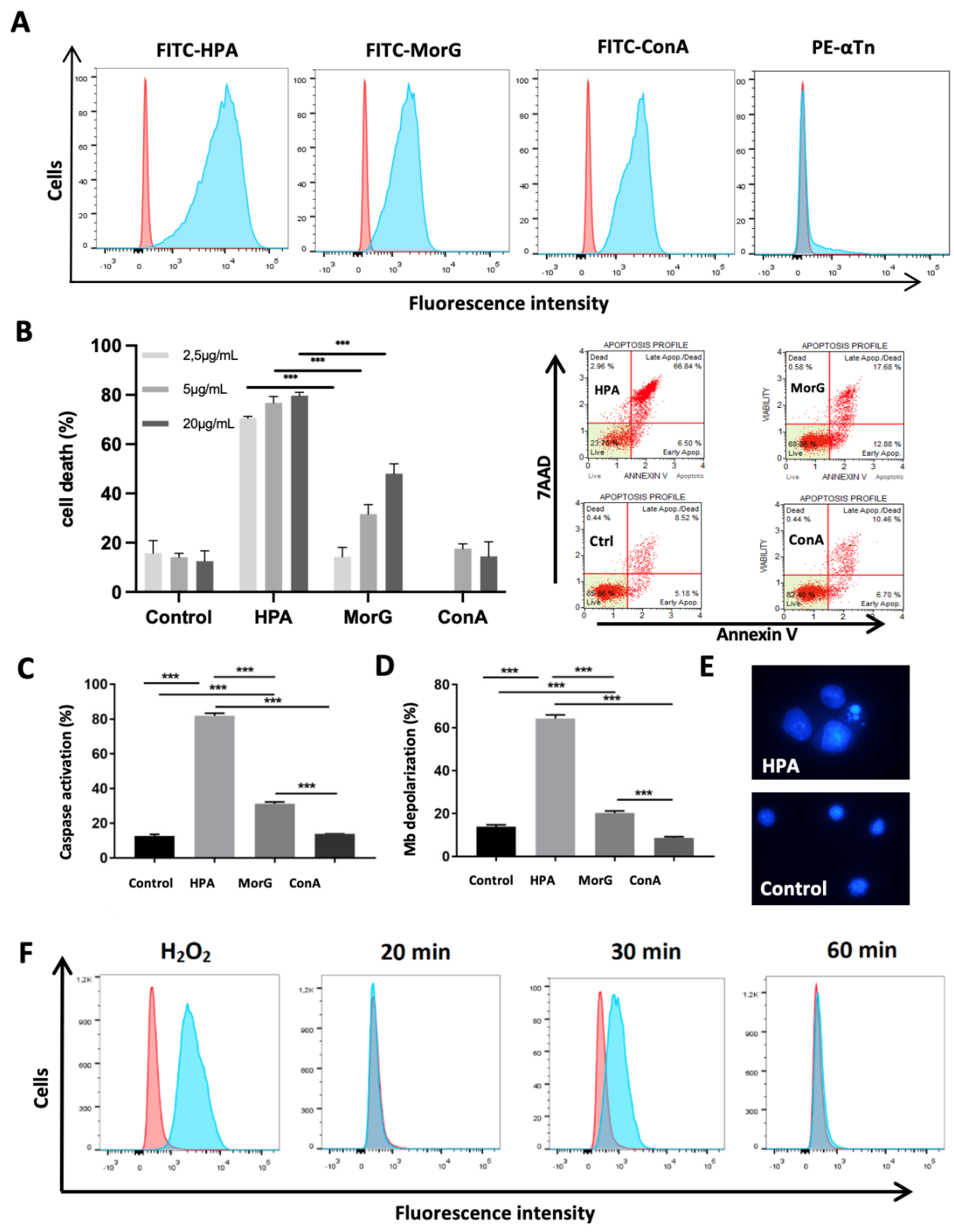 Cancers 13 04356 g002