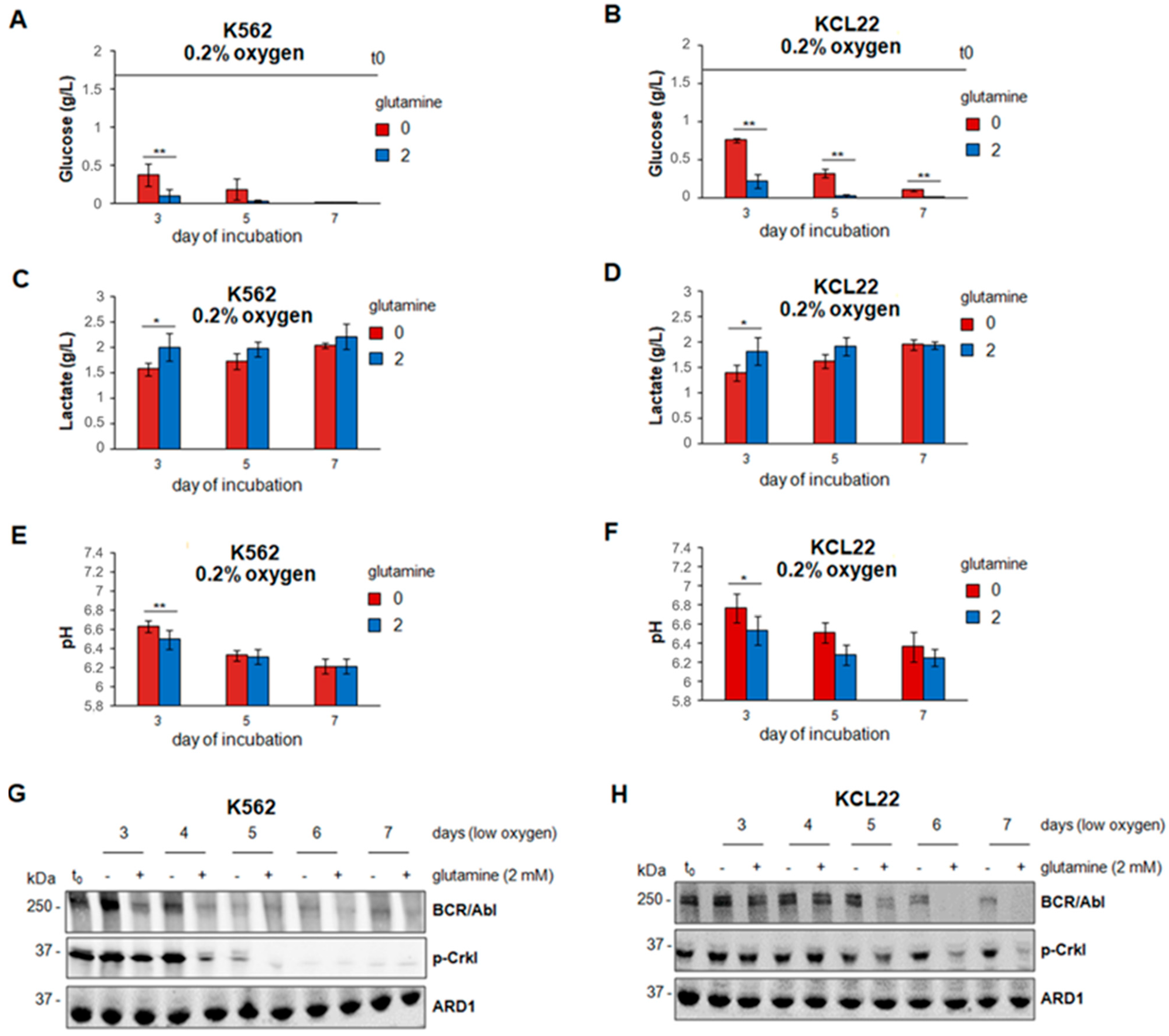 Cancers 13 04372 g002