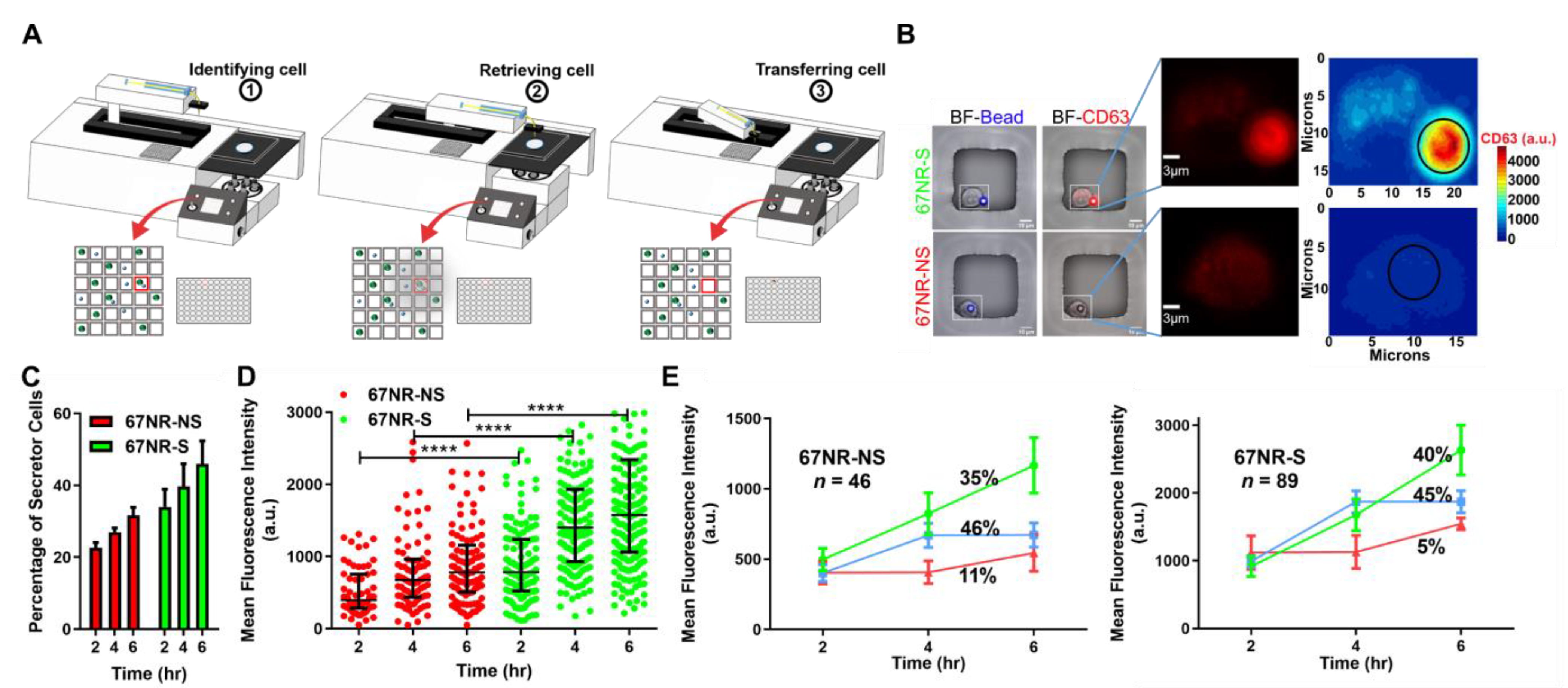 Cancers 13 04397 g003