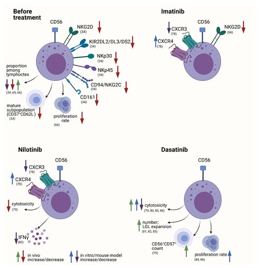 cancers free full text nk cells in myeloproliferative neoplasms mpn html