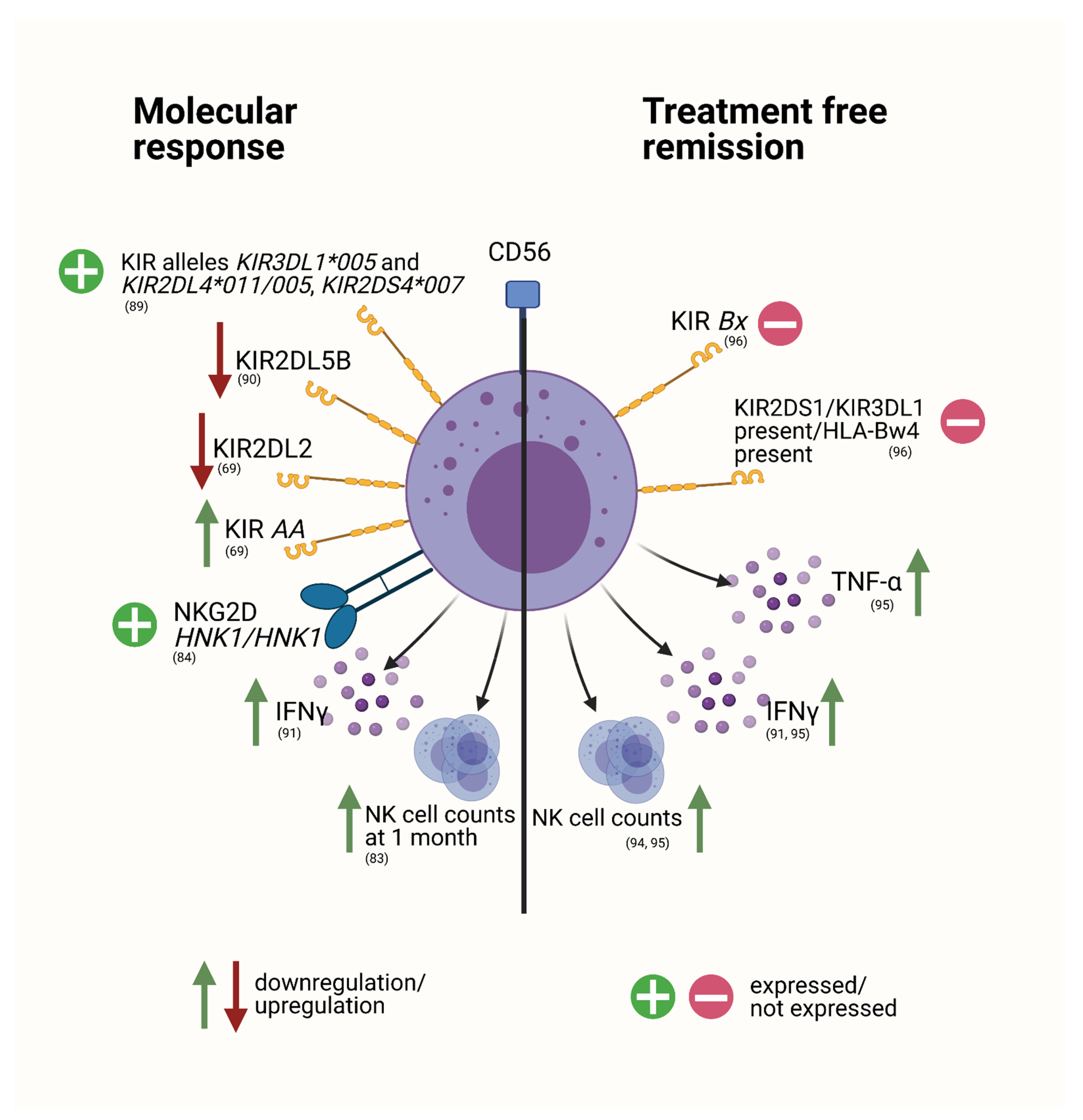 Cancers 13 04400 g002