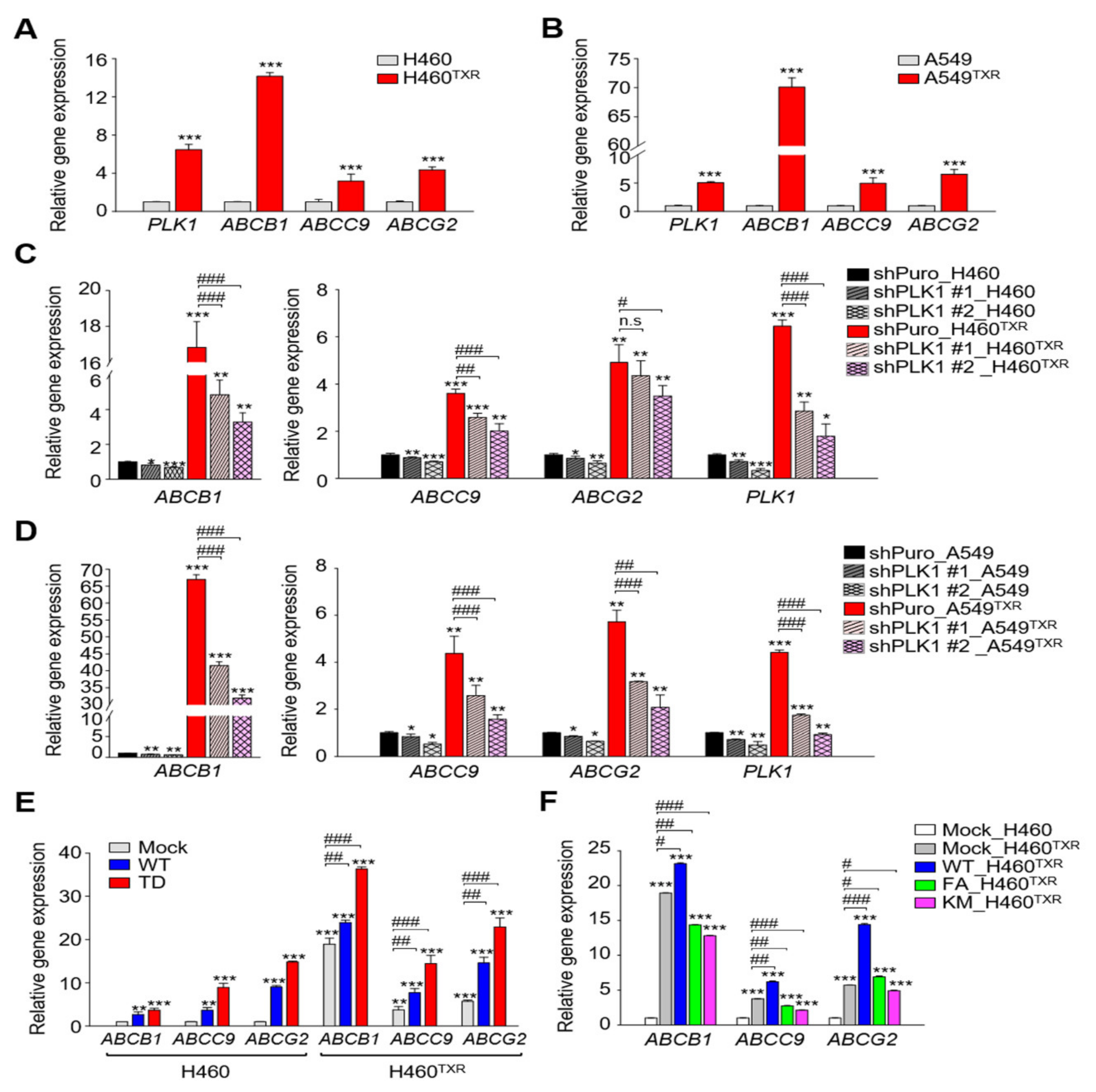 Cancers 13 04413 g001