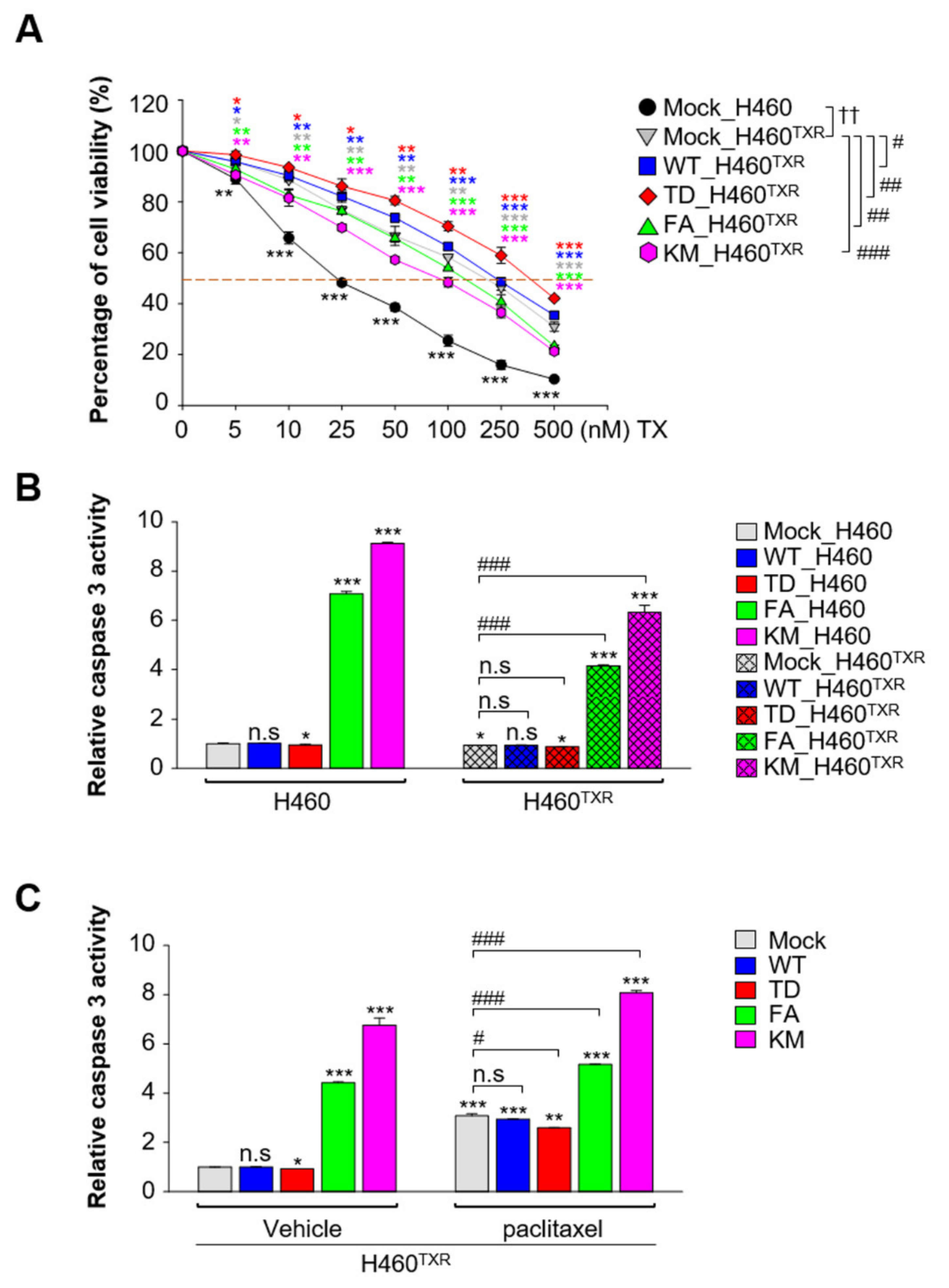 Cancers 13 04413 g002