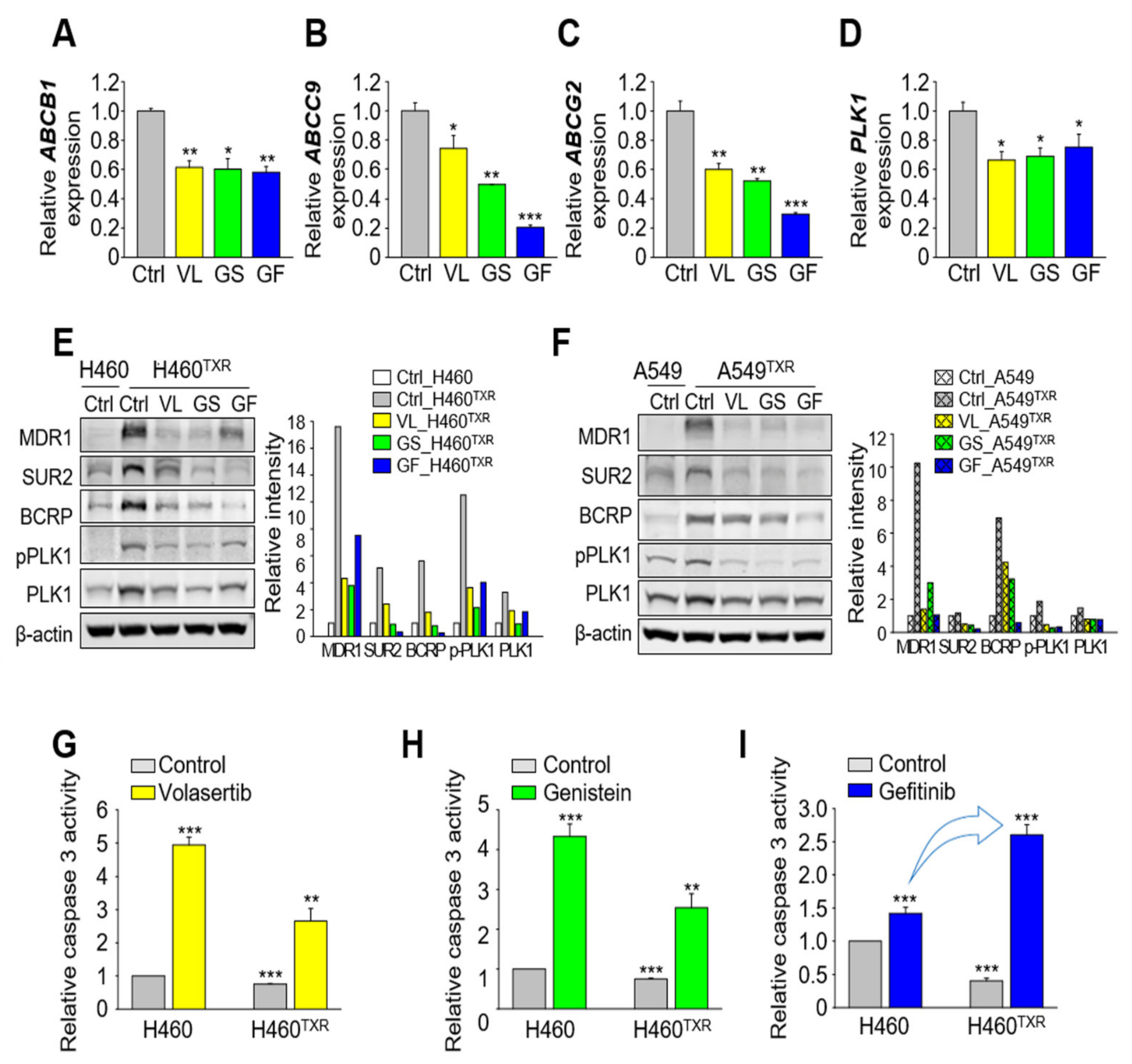Cancers 13 04413 g004