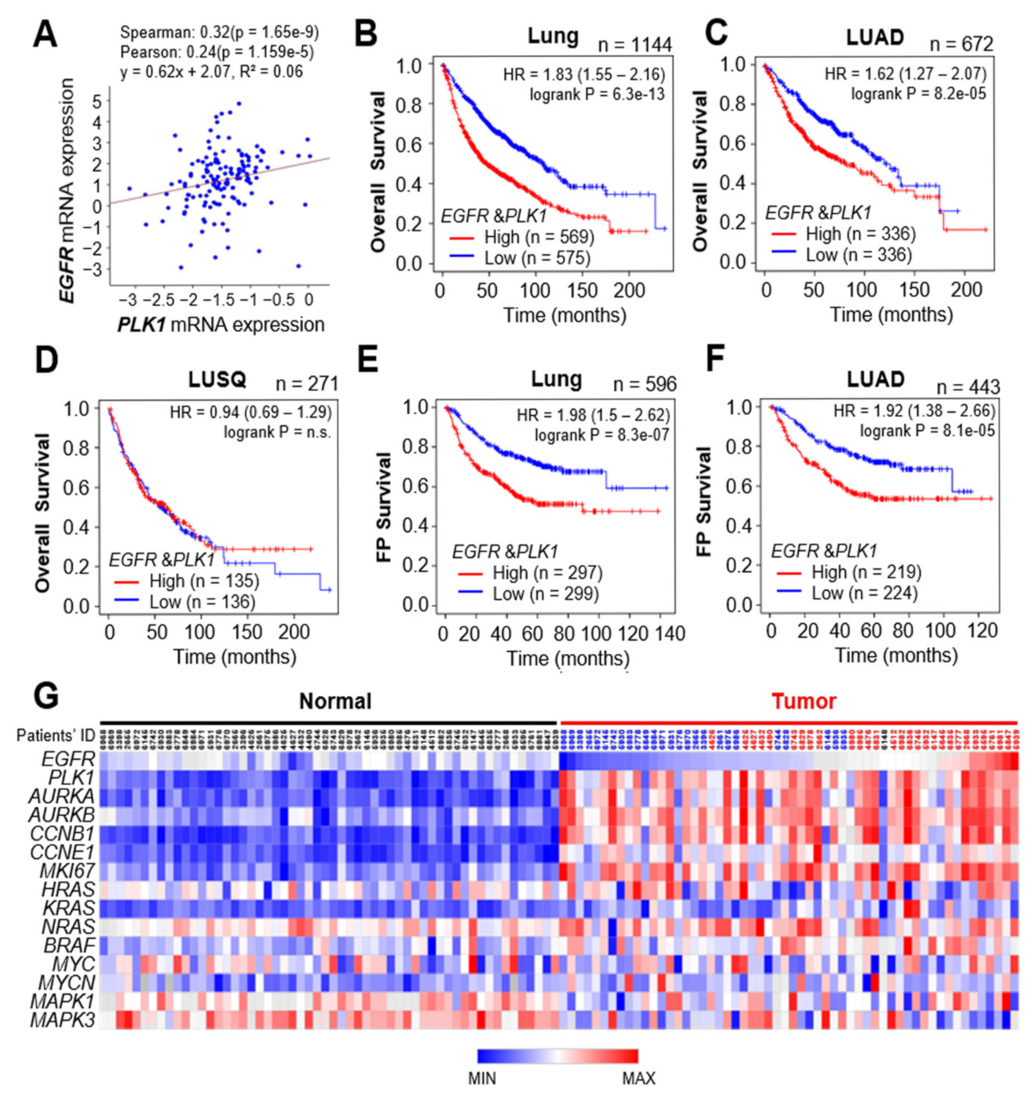 Cancers 13 04413 g005