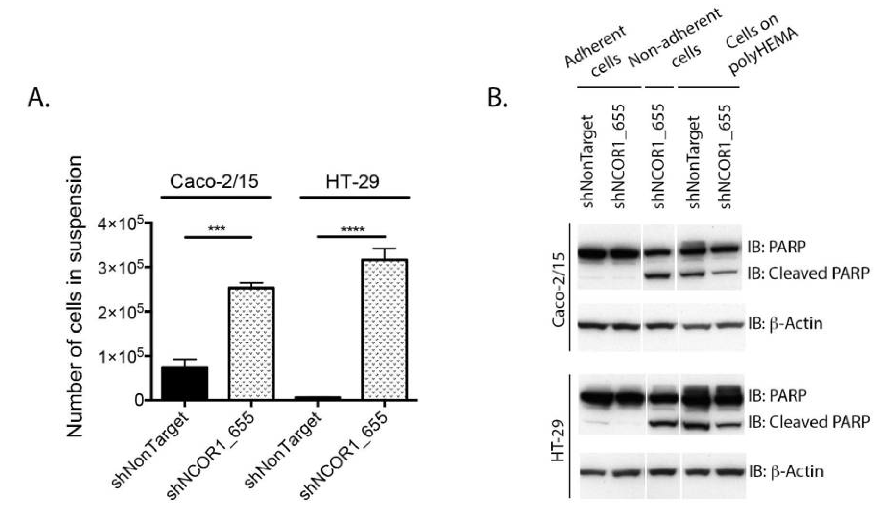 Cancers 13 04414 g003 Cancers 13 04414 g003