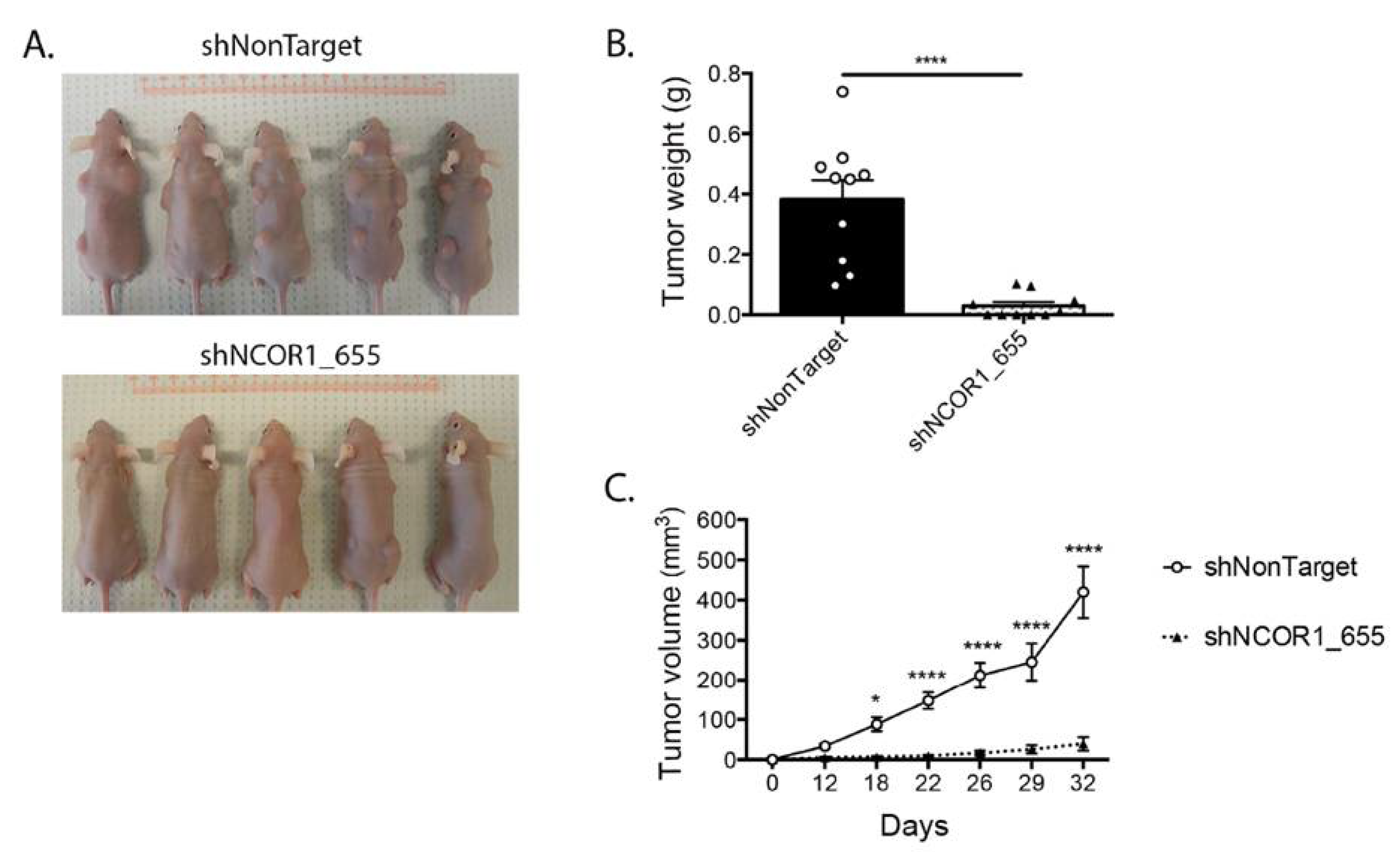 Cancers 13 04414 g006 Cancers 13 04414 g006