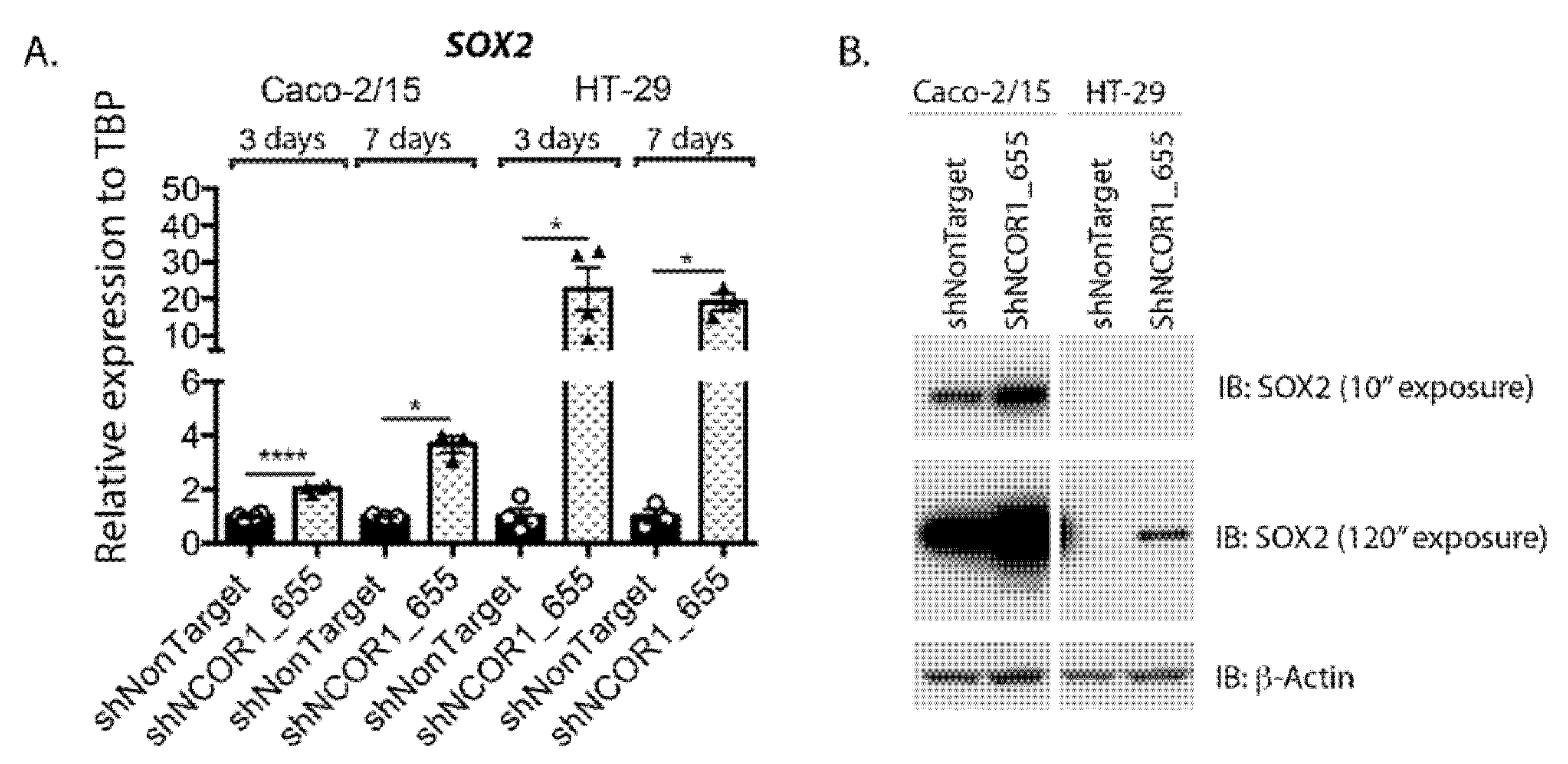 Cancers 13 04414 g009 Cancers 13 04414 g009