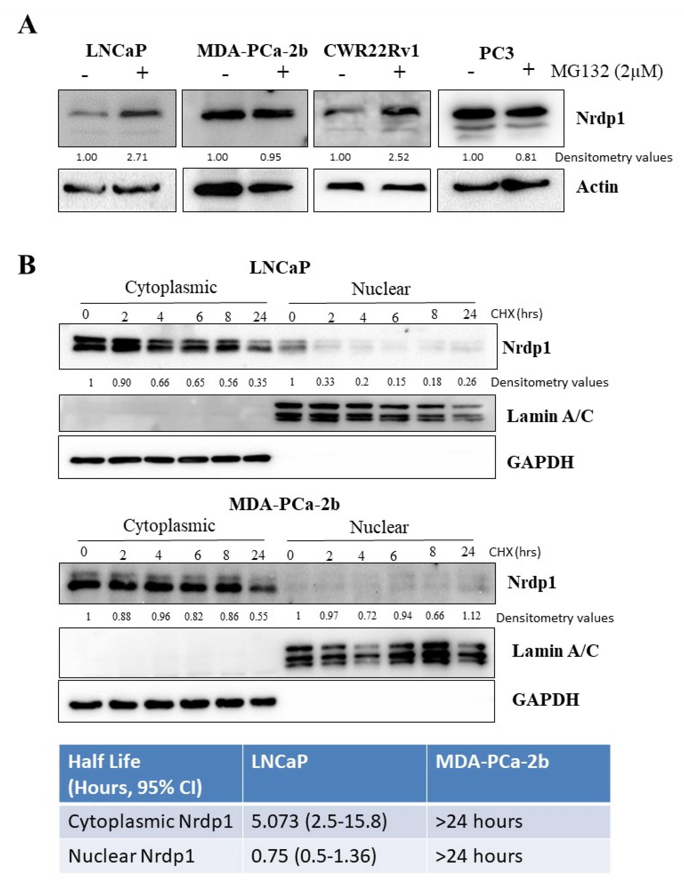 Cancers 13 04425 g008