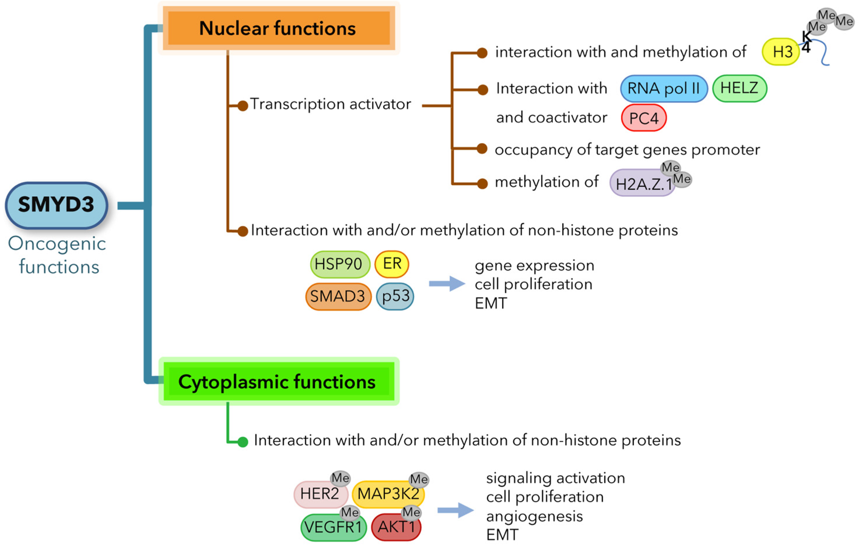 Cancers 13 04427 g001