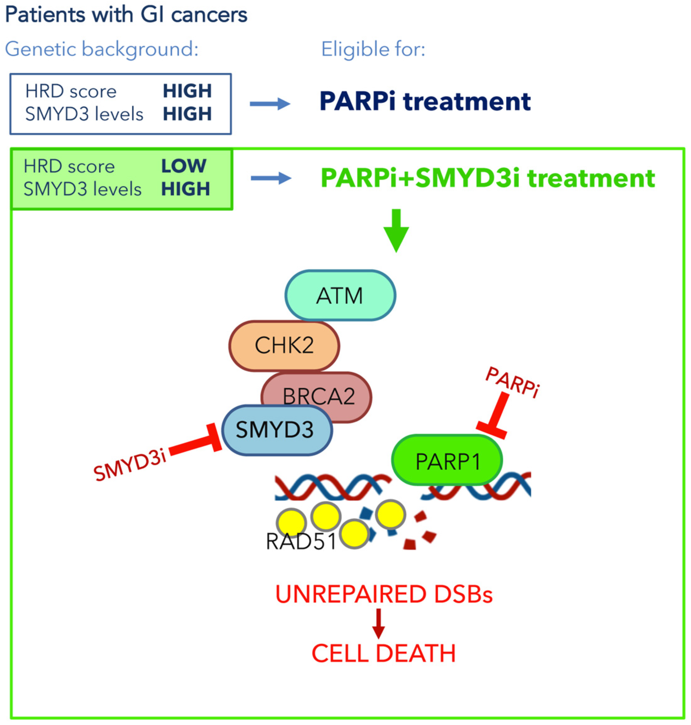 Cancers 13 04427 g003