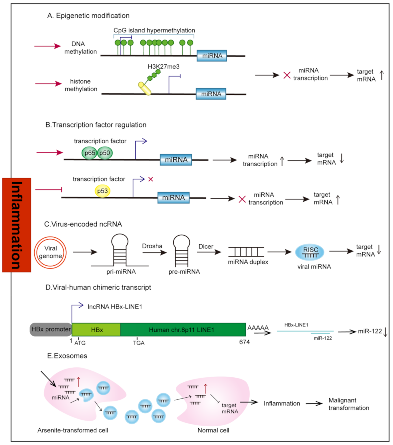 Cancers 13 04436 g002 Cancers 13 04436 g002