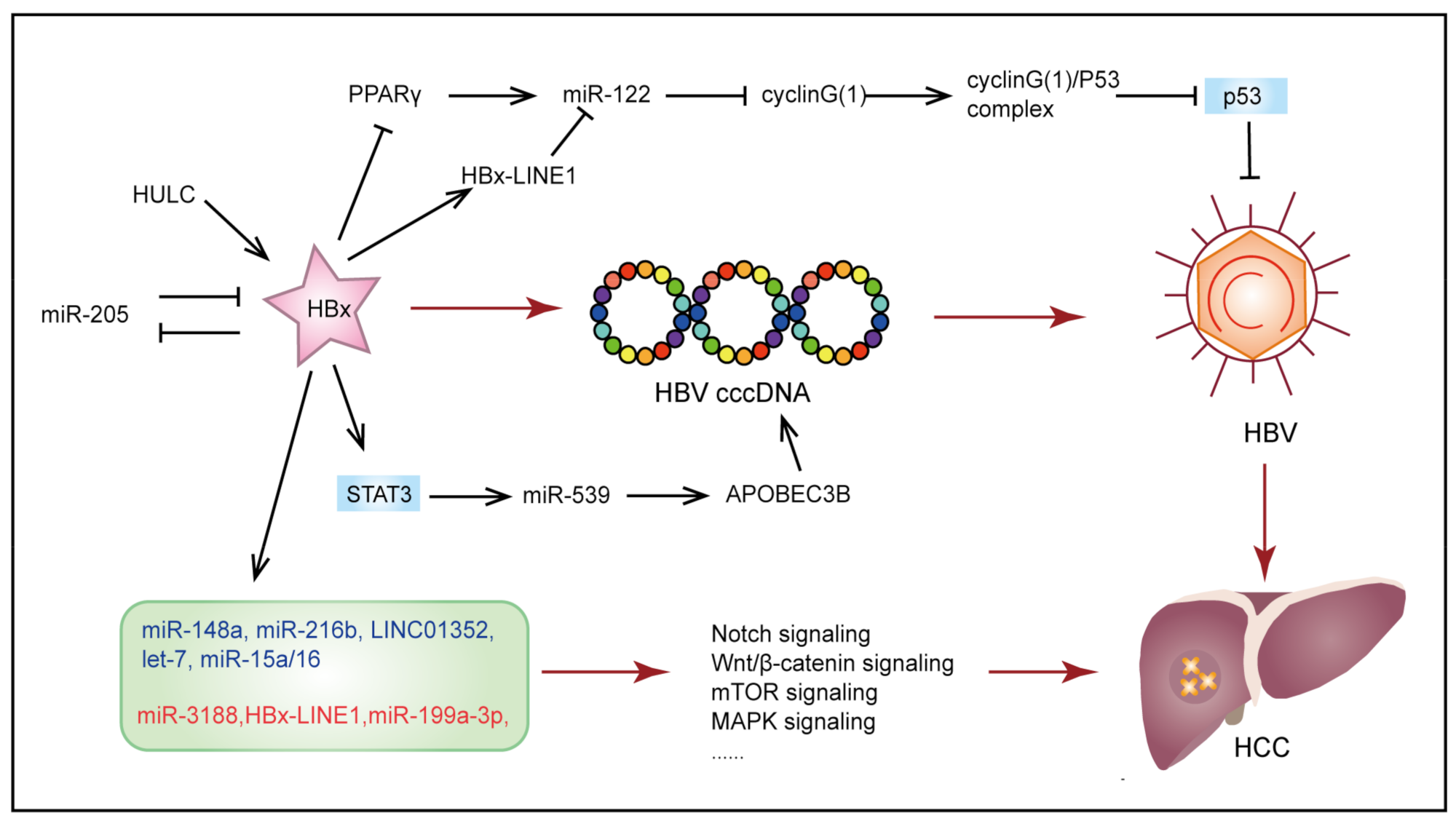 Cancers 13 04436 g003 Cancers 13 04436 g003