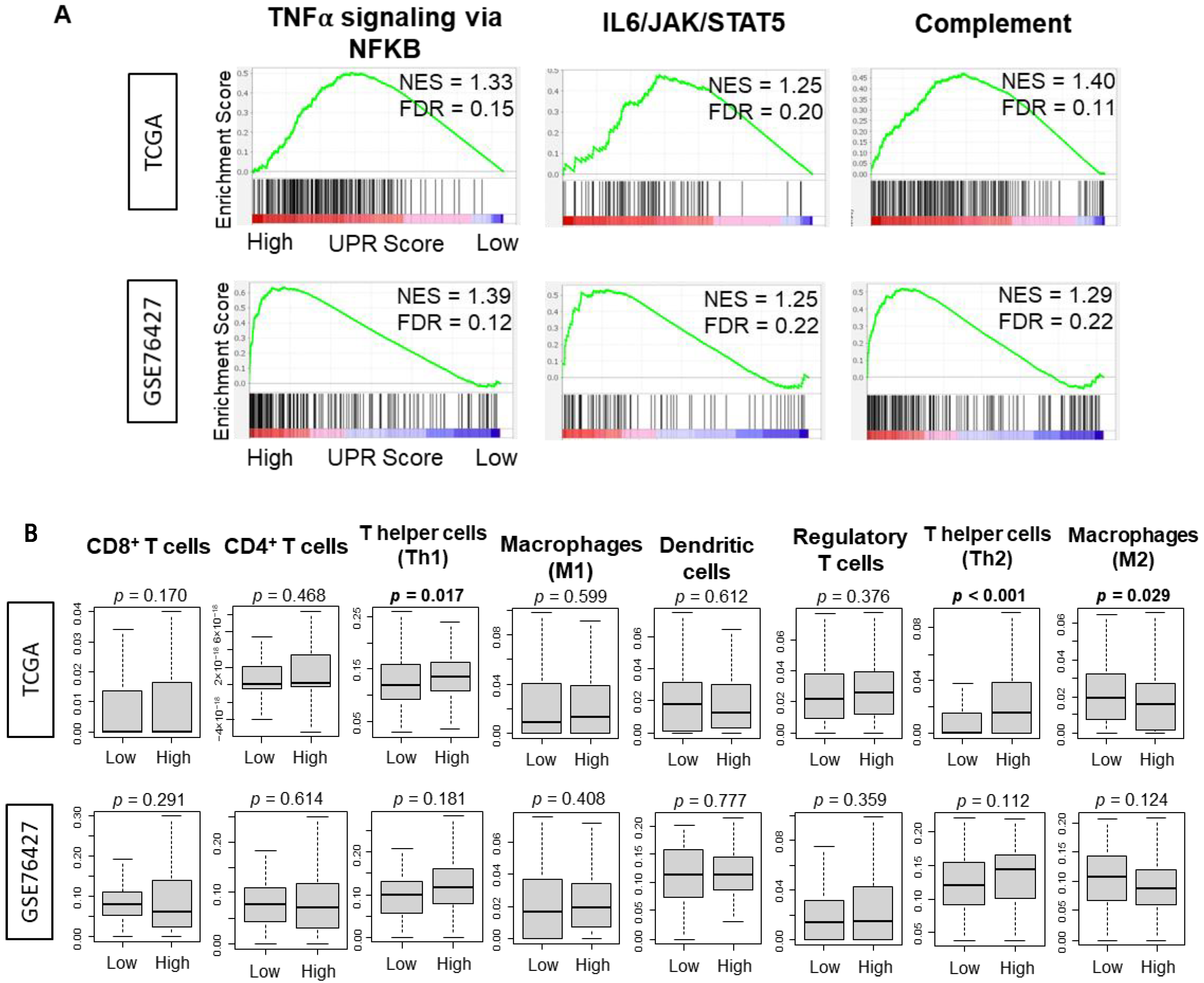 Cancers 13 04443 g004