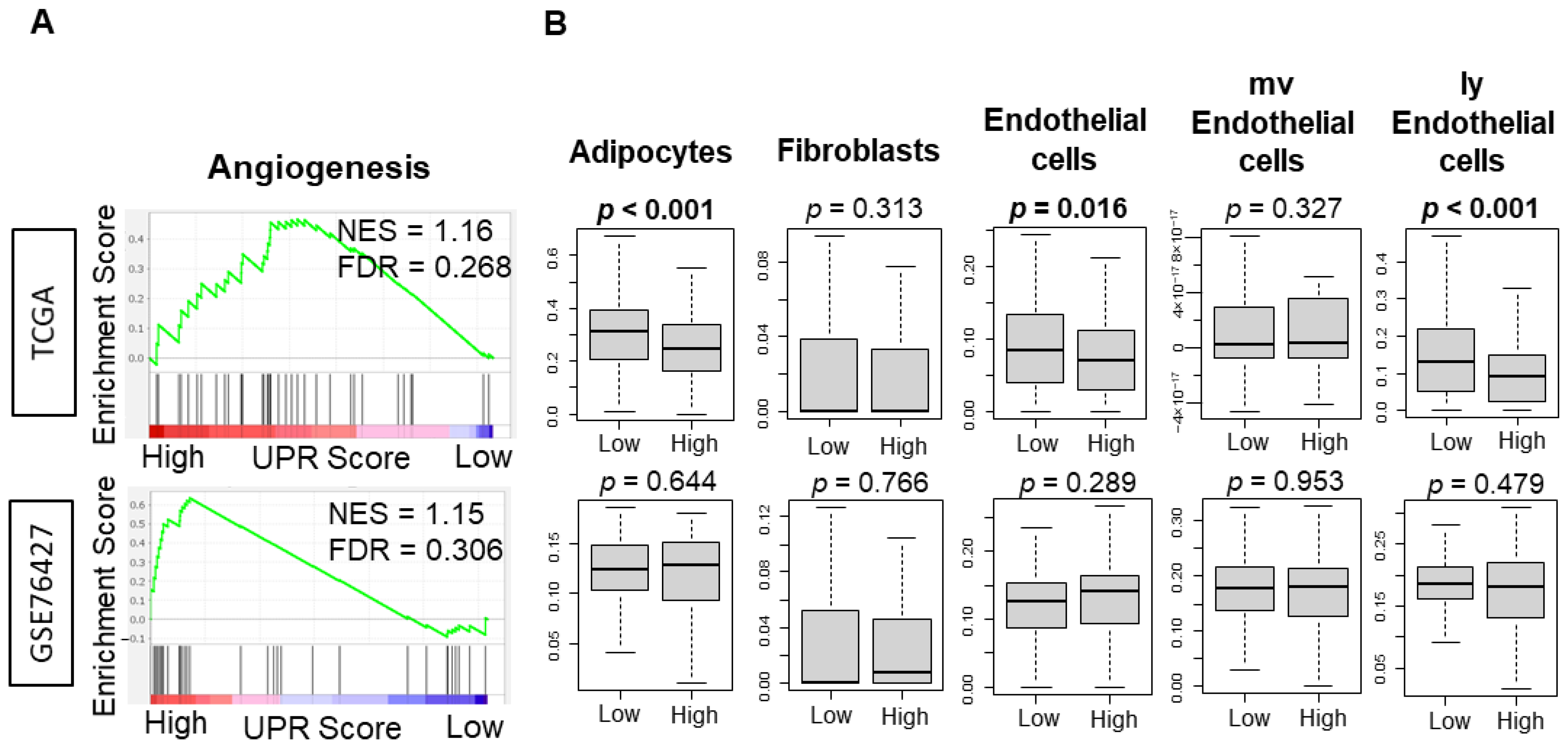 Cancers 13 04443 g005