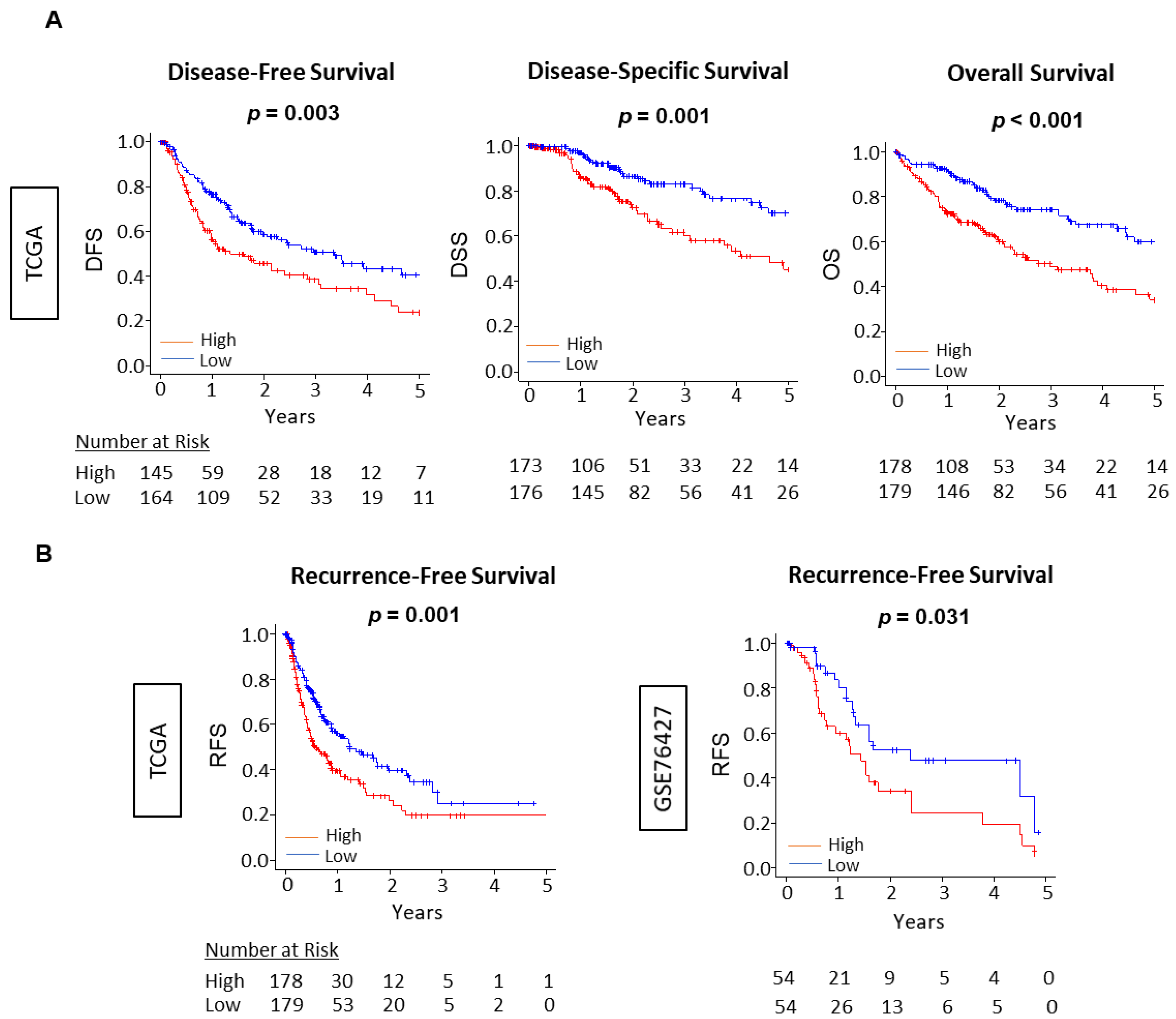 Cancers 13 04443 g006