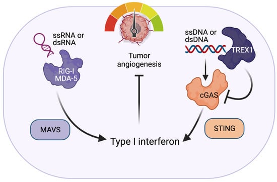 Cancers | Free Full-Text | Nucleic Acid Sensing in the Tumor