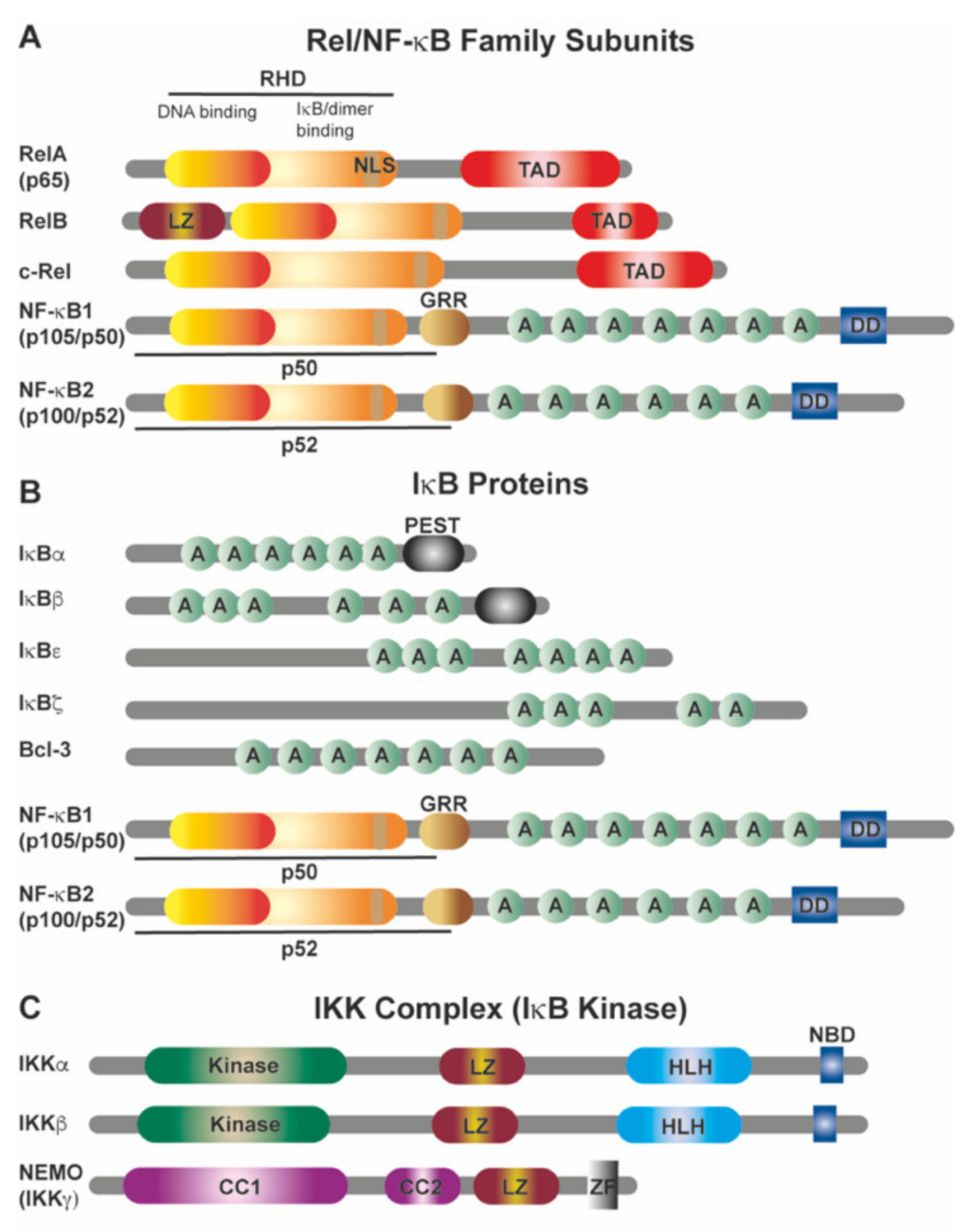 Cancers 13 04510 g001 Cancers 13 04510 g001