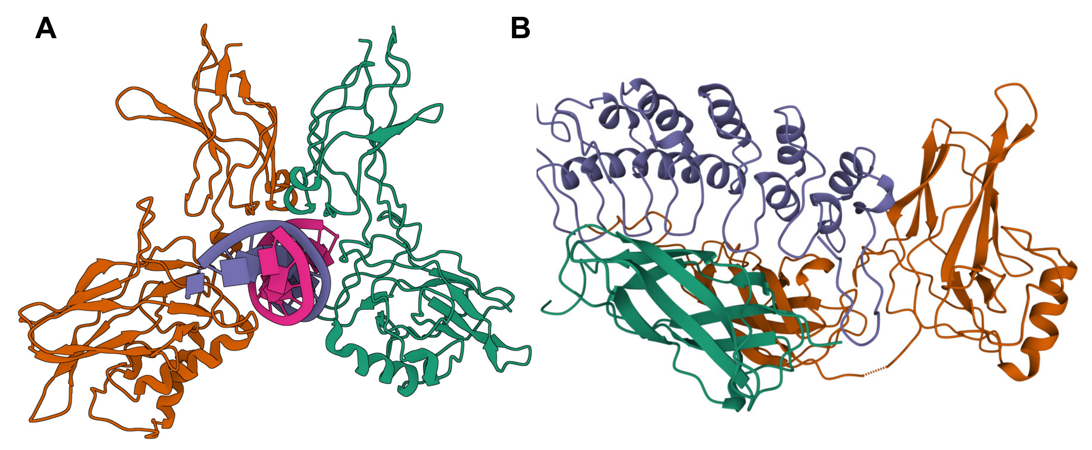 Cancers 13 04510 g002 Cancers 13 04510 g002