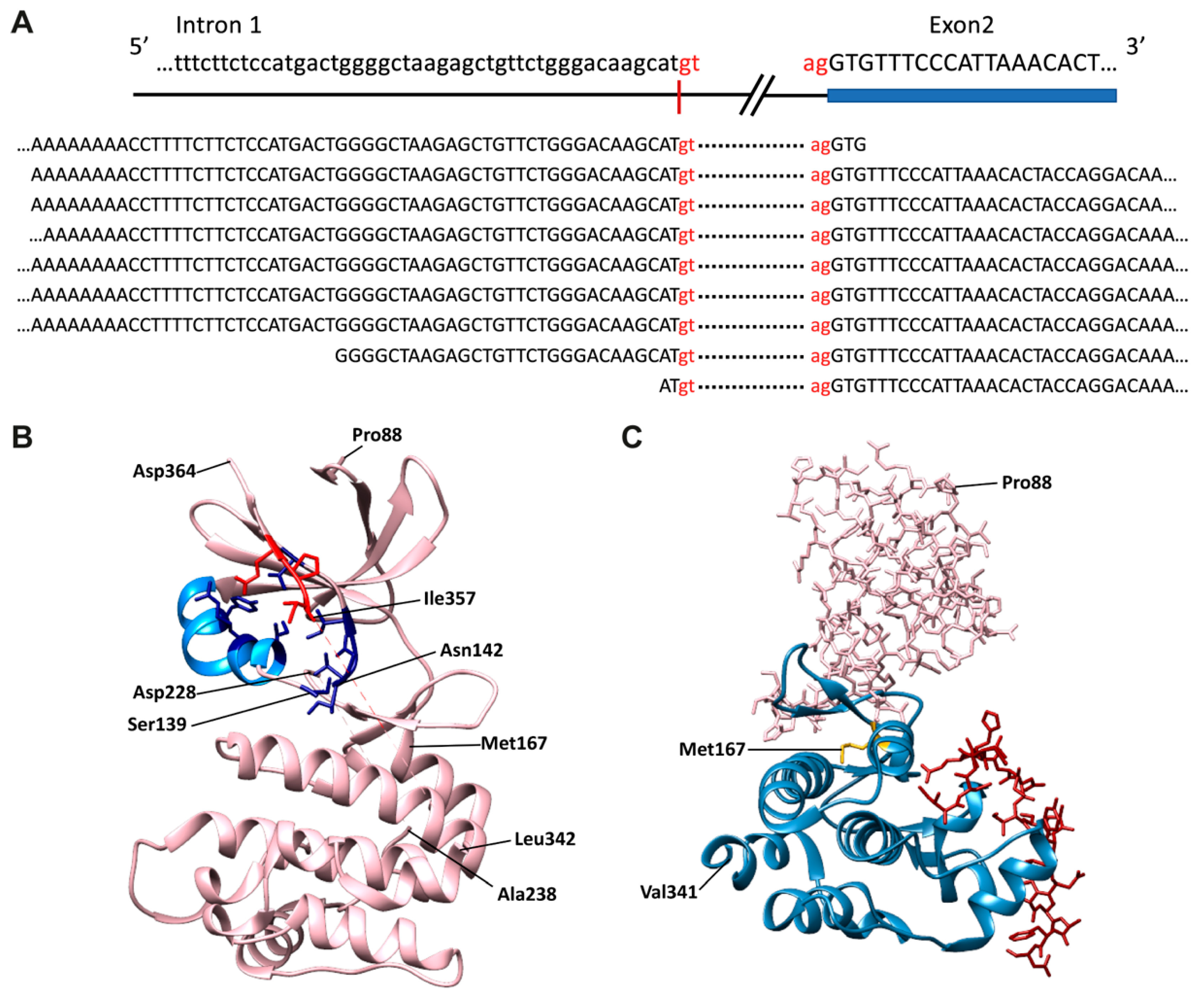 Cancers 13 04517 g004 Cancers 13 04517 g004
