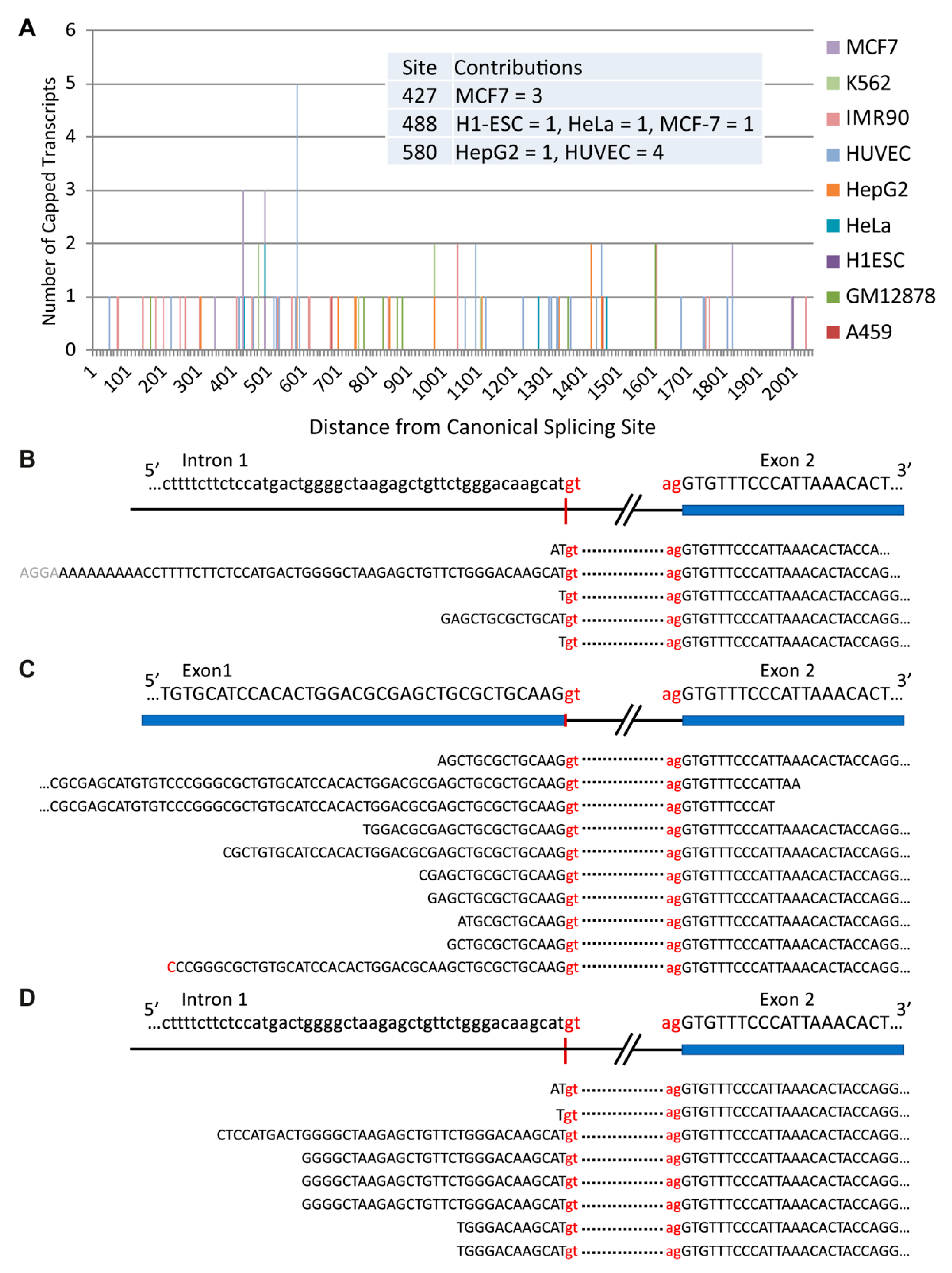 Cancers 13 04517 g005 Cancers 13 04517 g005