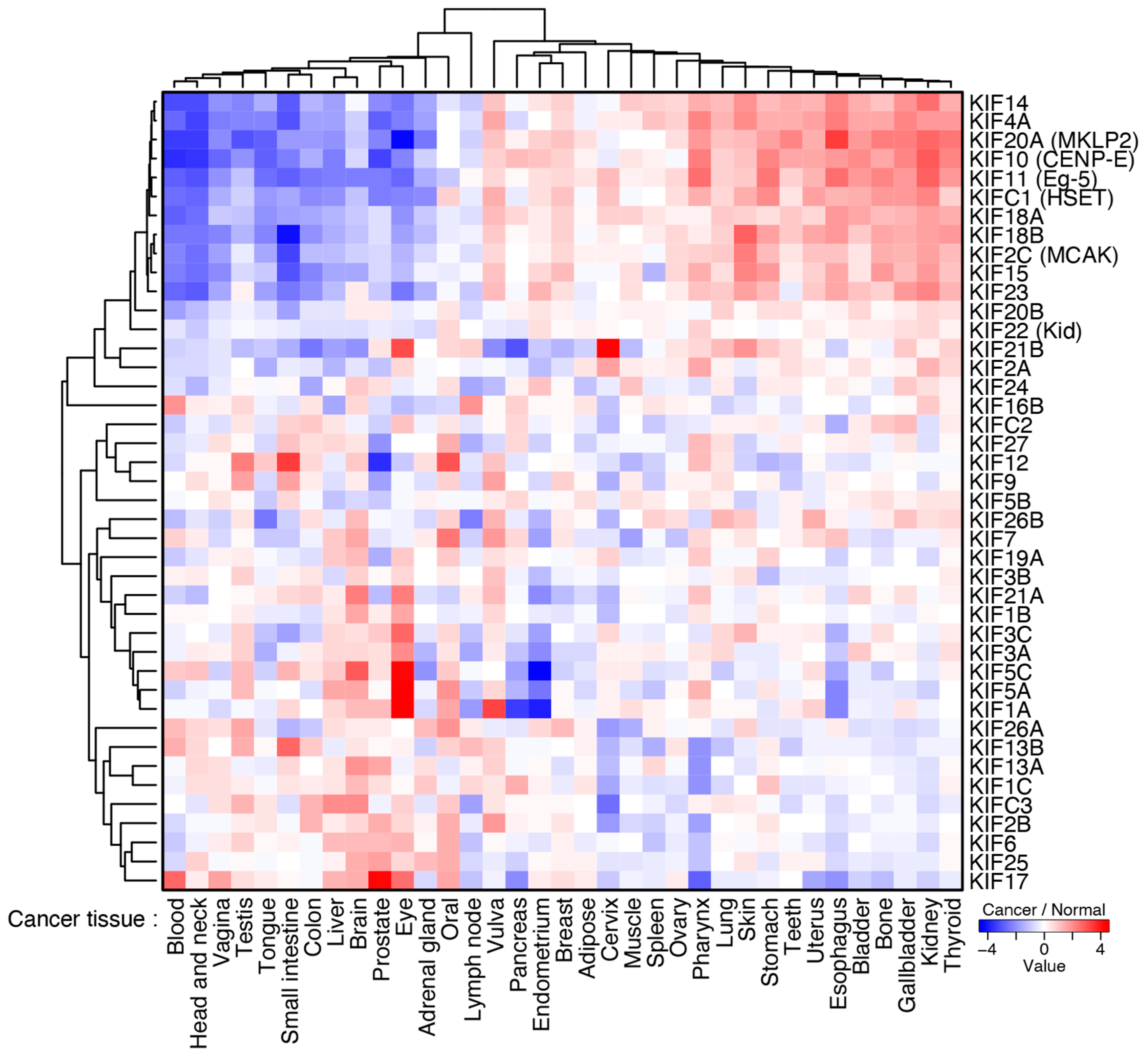 Cancers 13 04531 g007