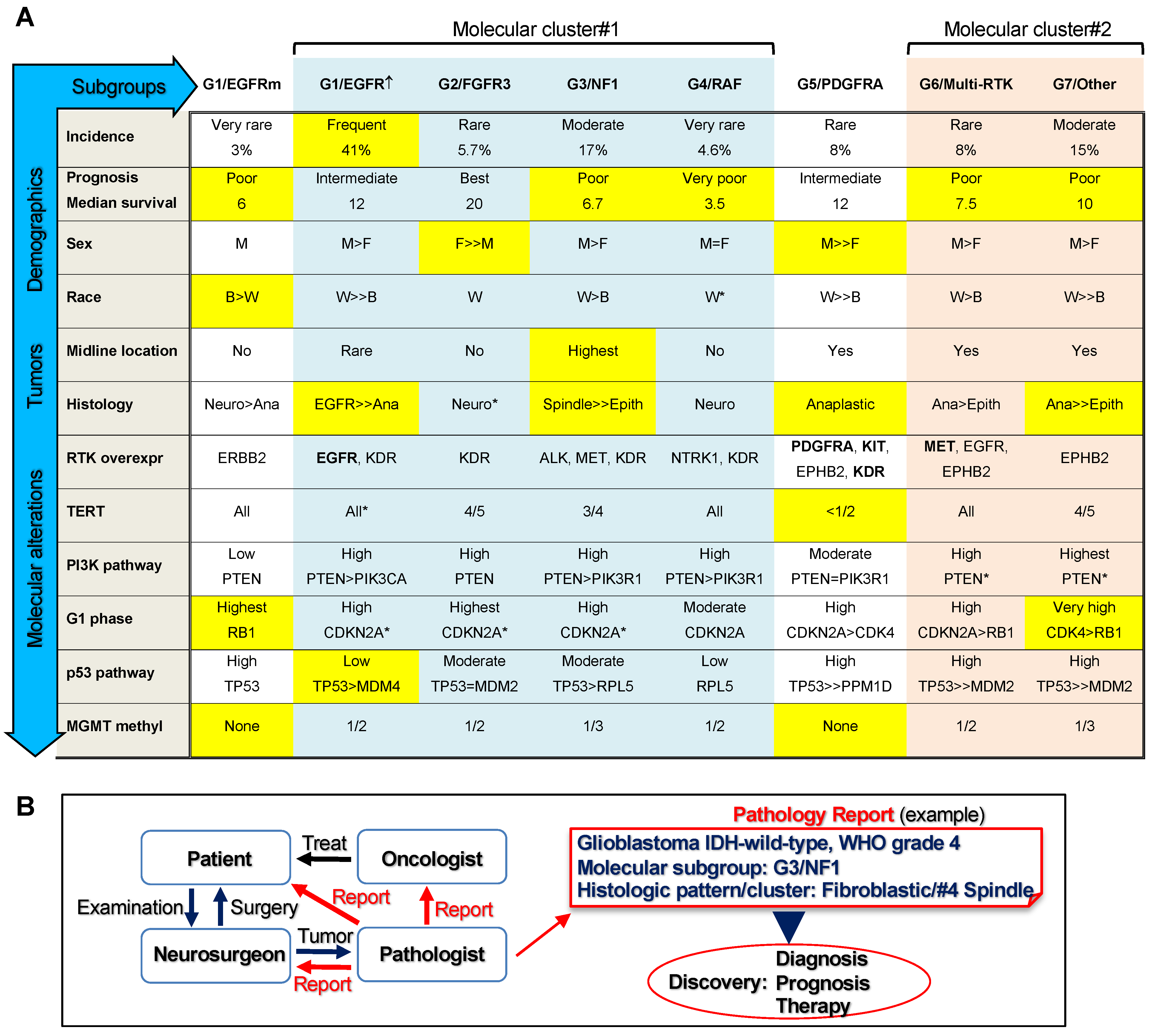 Cancers 13 04532 g004