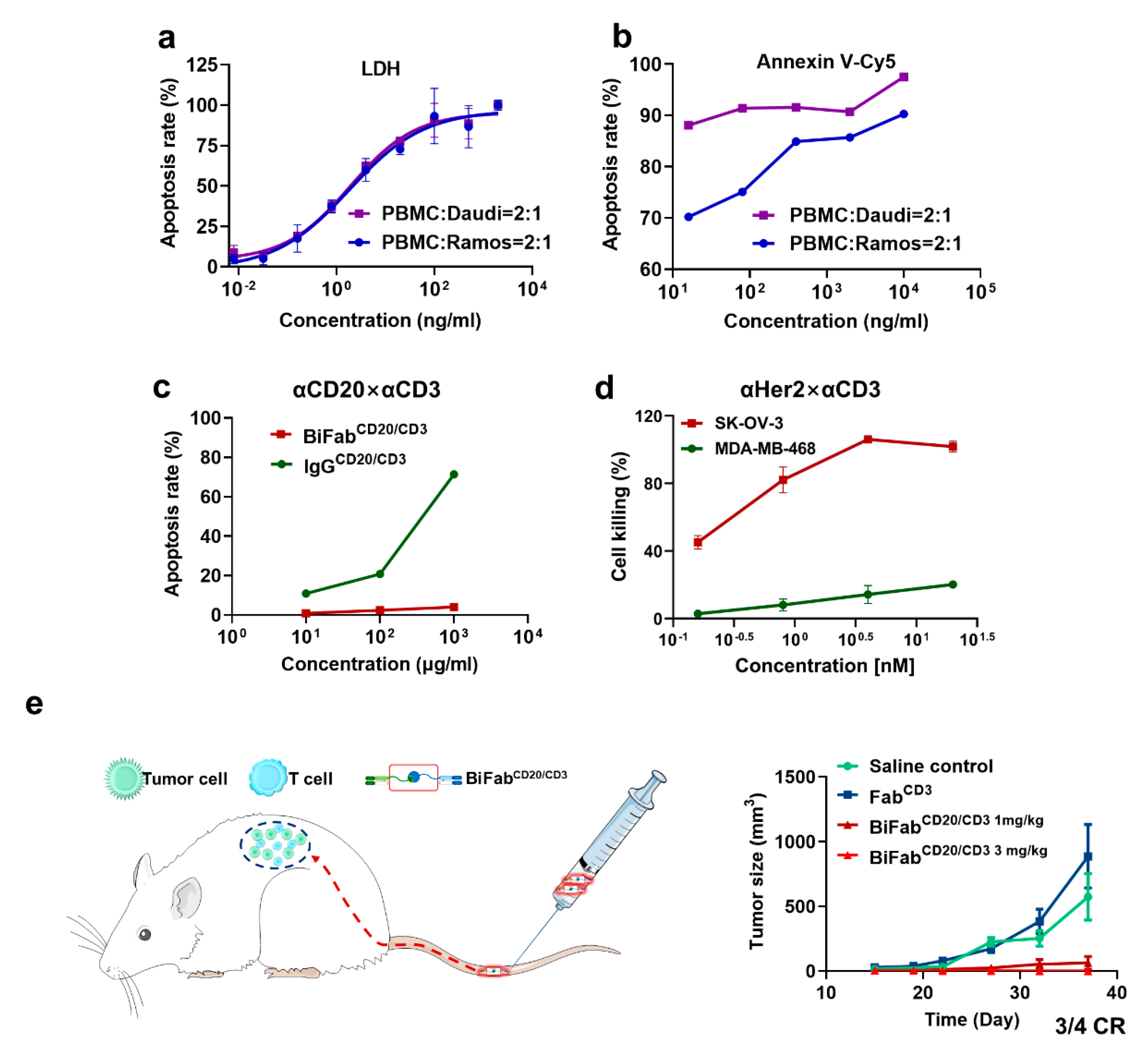 Cancers 13 04540 g003