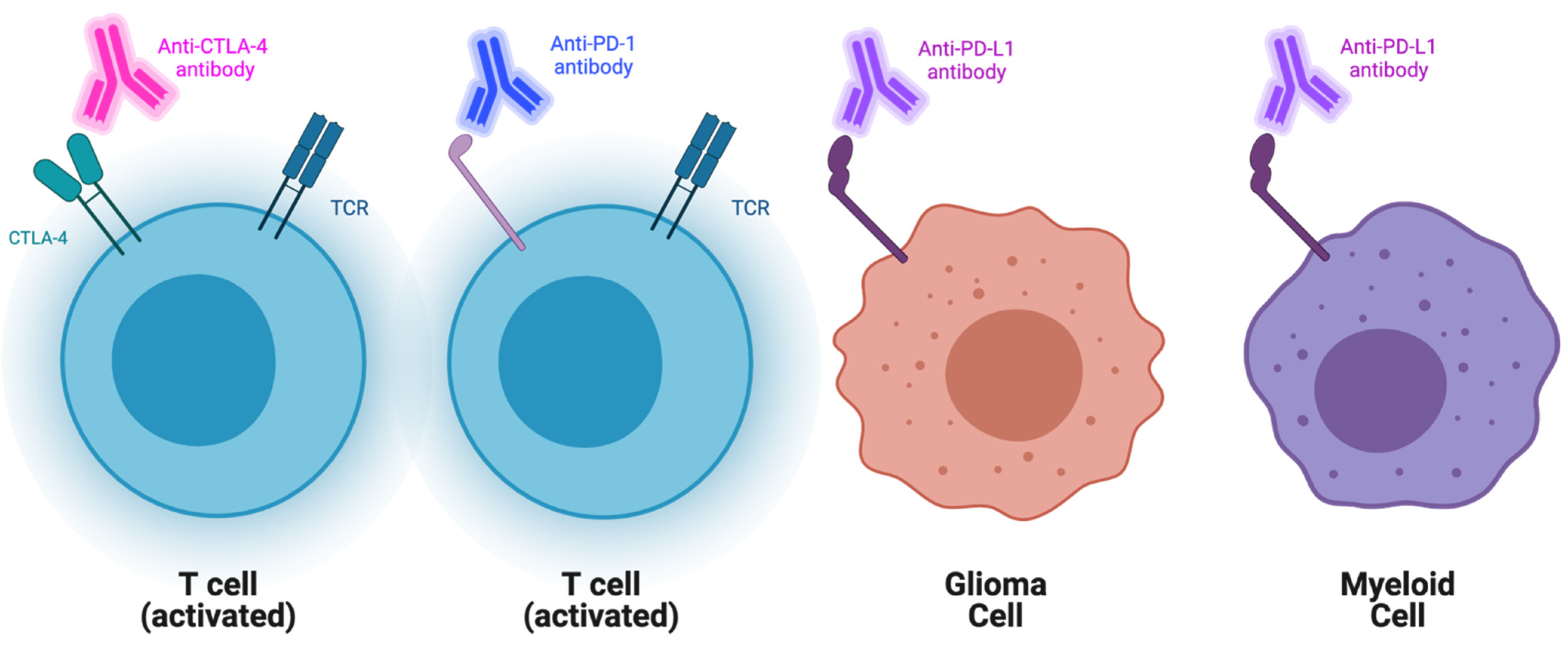 Cancers | Free Full-Text | Current Immunotherapeutic Strategies for the  Treatment of Glioblastoma