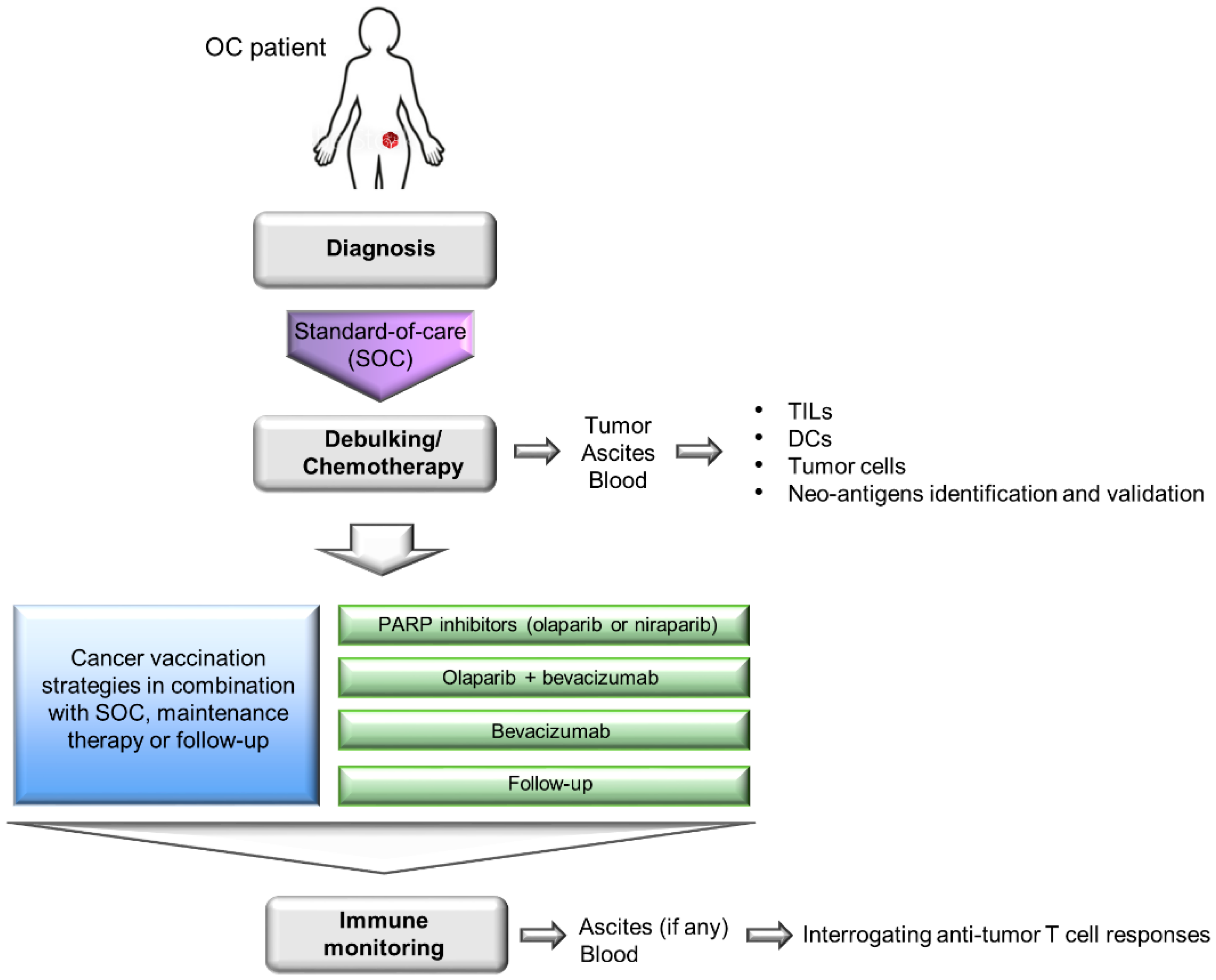 Cancers 13 04553 g002