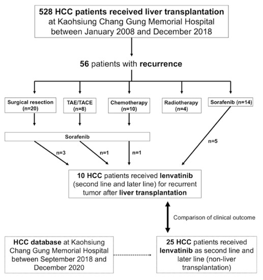 Cancers | Free Full-Text | Efficacy And Safety Of Lenvatinib In ...