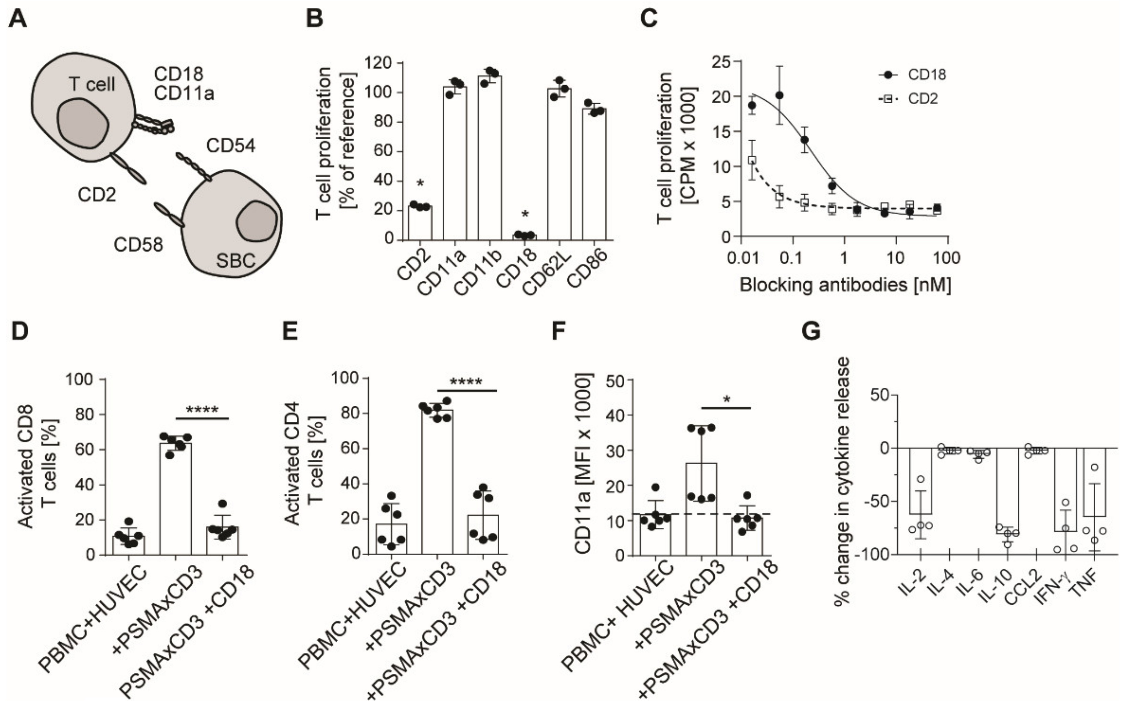 Cancers 13 04596 g004a Cancers 13 04596 g004a