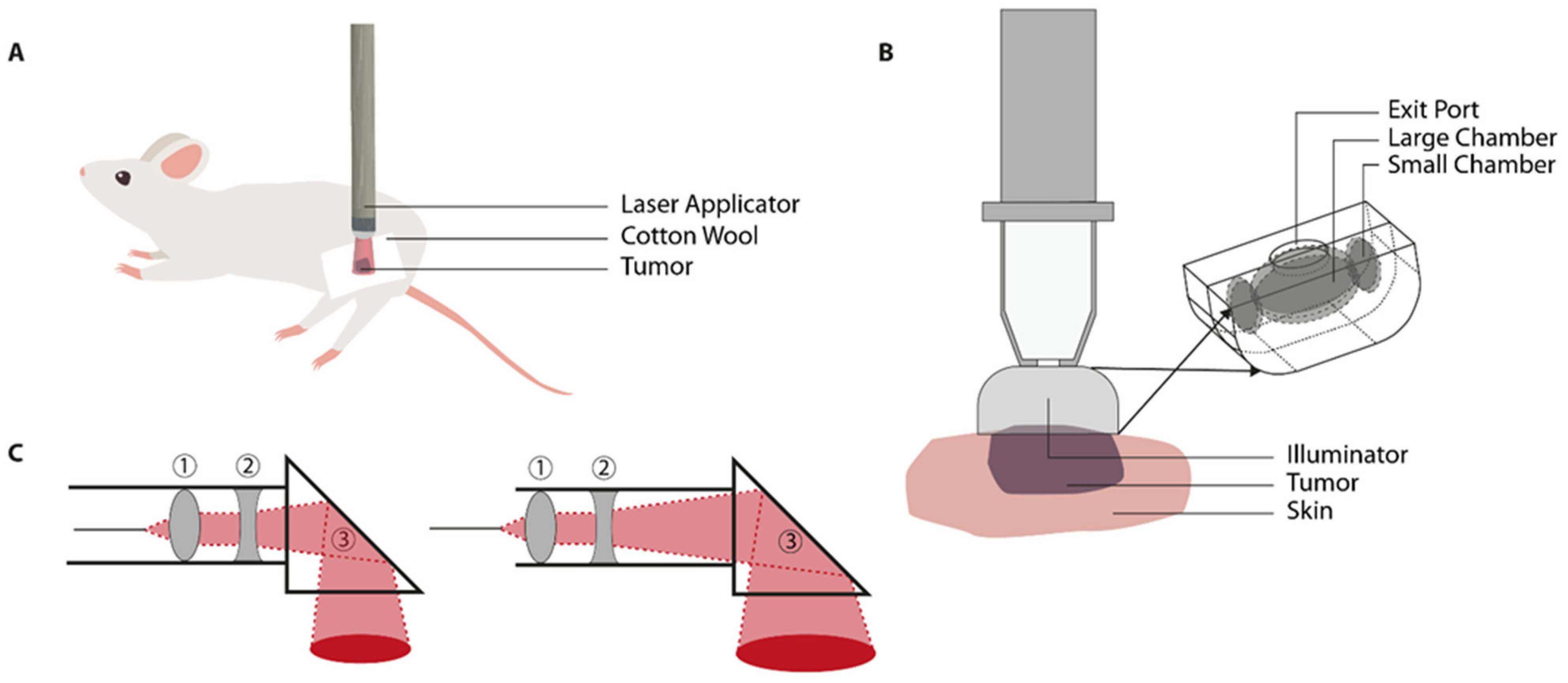 Cancers 13 04628 g004