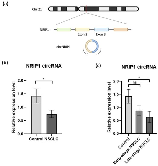 Cancers | Free Full-Text | The Analysis Of Platelet-Derived CircRNA ...