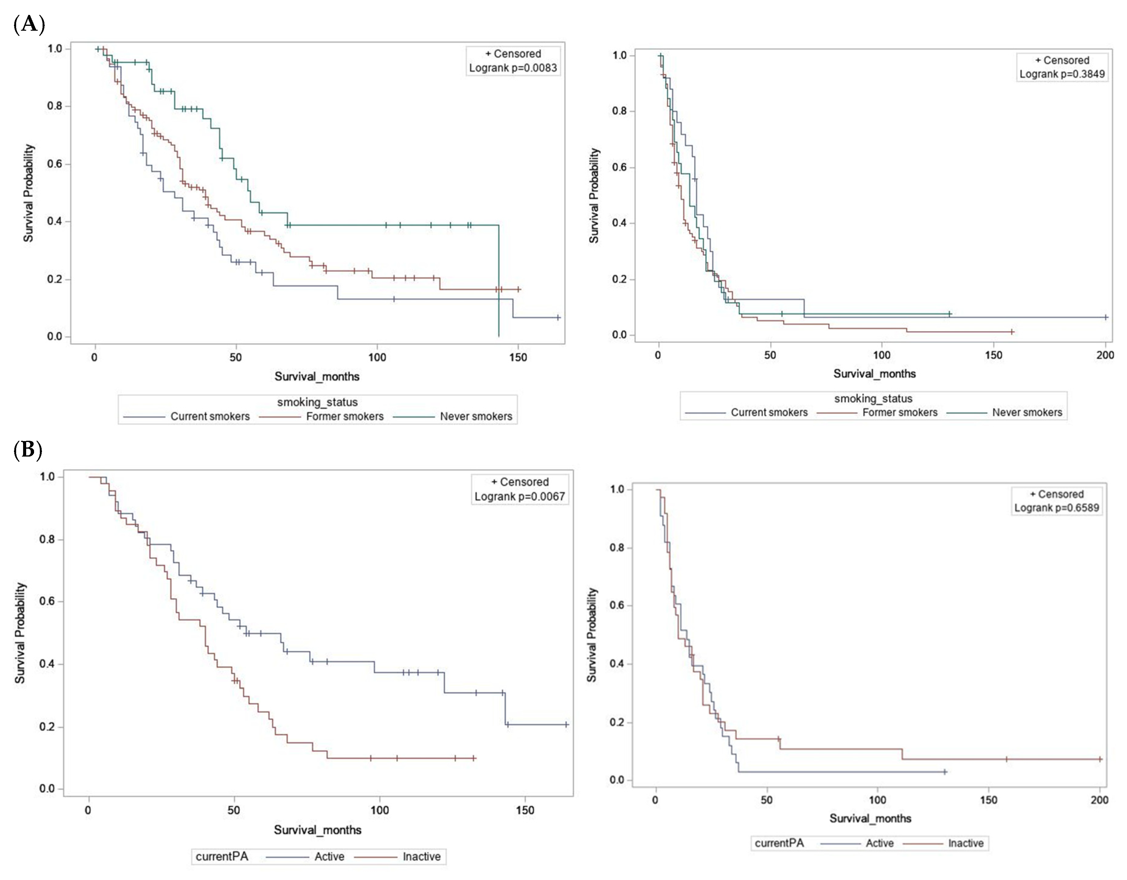 Cancers 13 04653 g002 Cancers 13 04653 g002